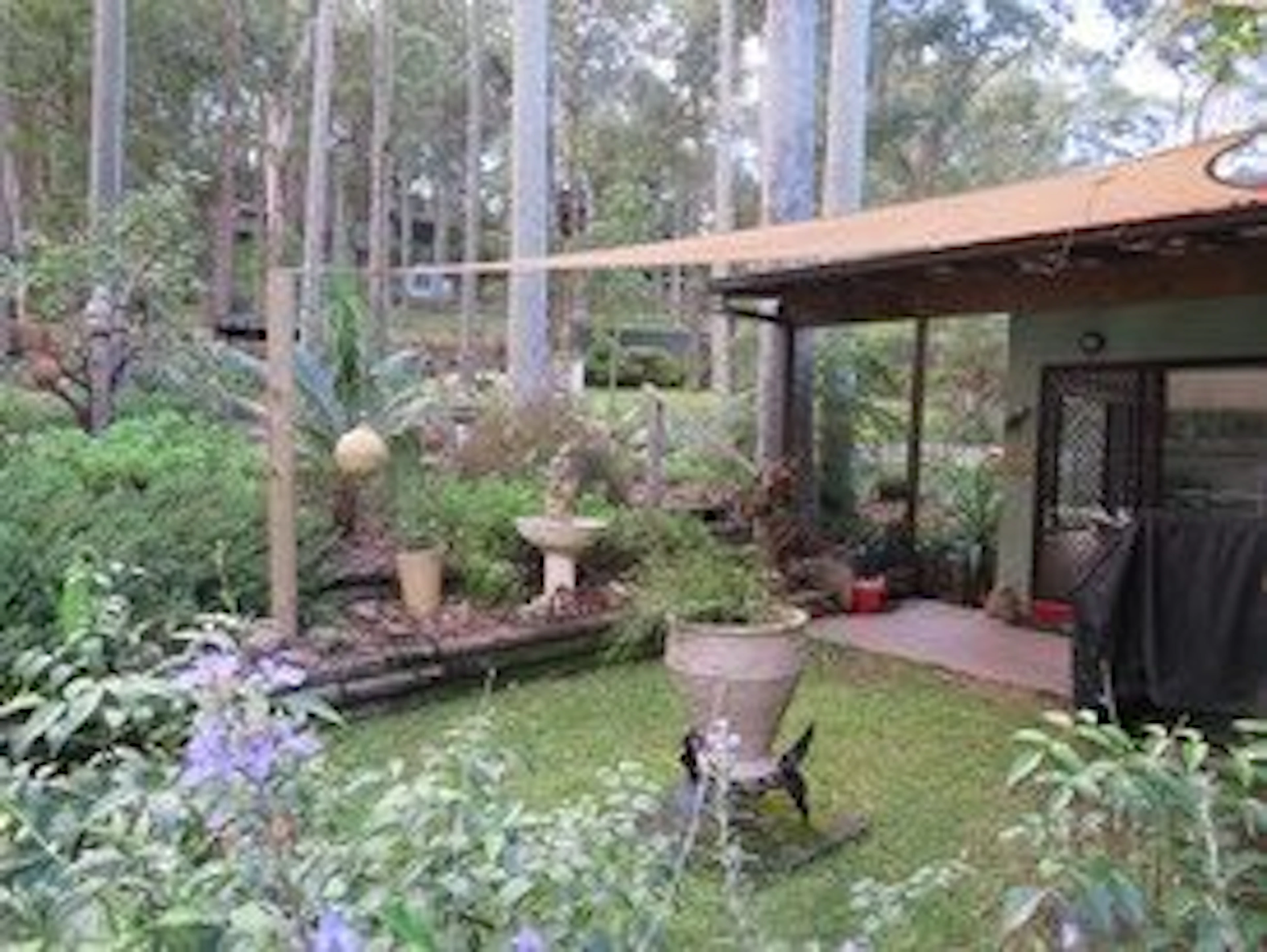 Werekataba in MOUNT HUTTON, NSW — photo 4