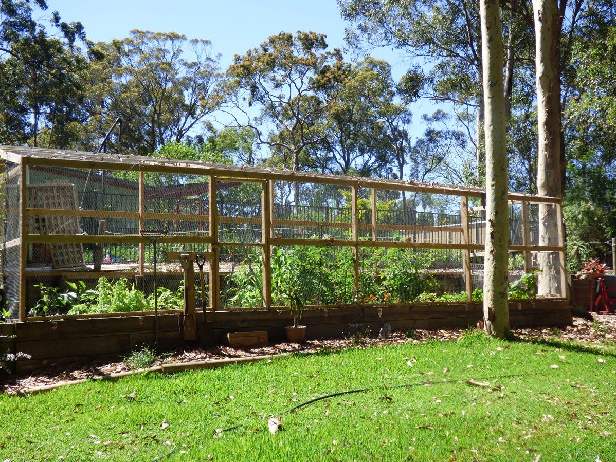 Werekataba in MOUNT HUTTON, NSW — photo 5