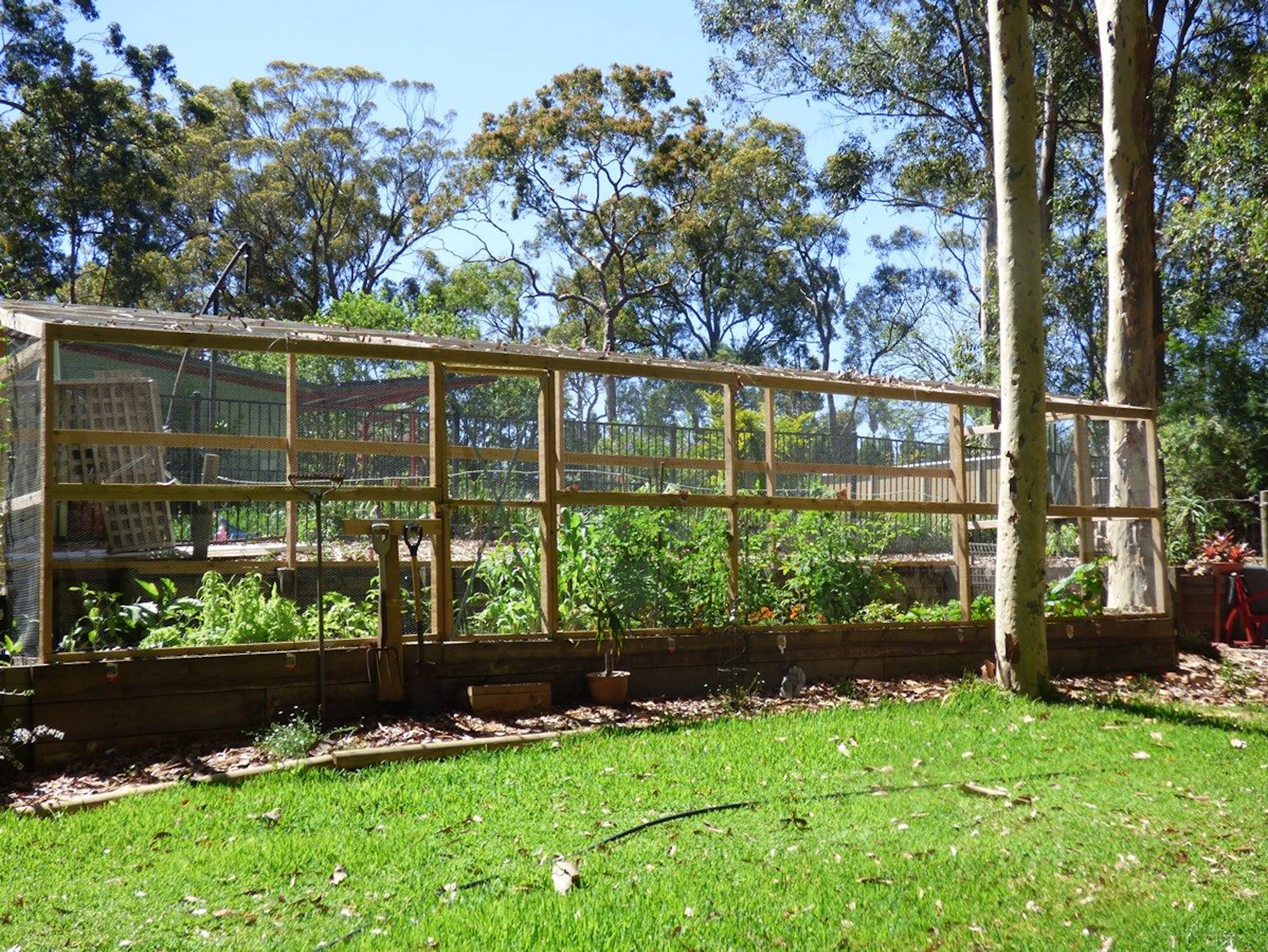 Werekataba in MOUNT HUTTON, NSW — photo 5