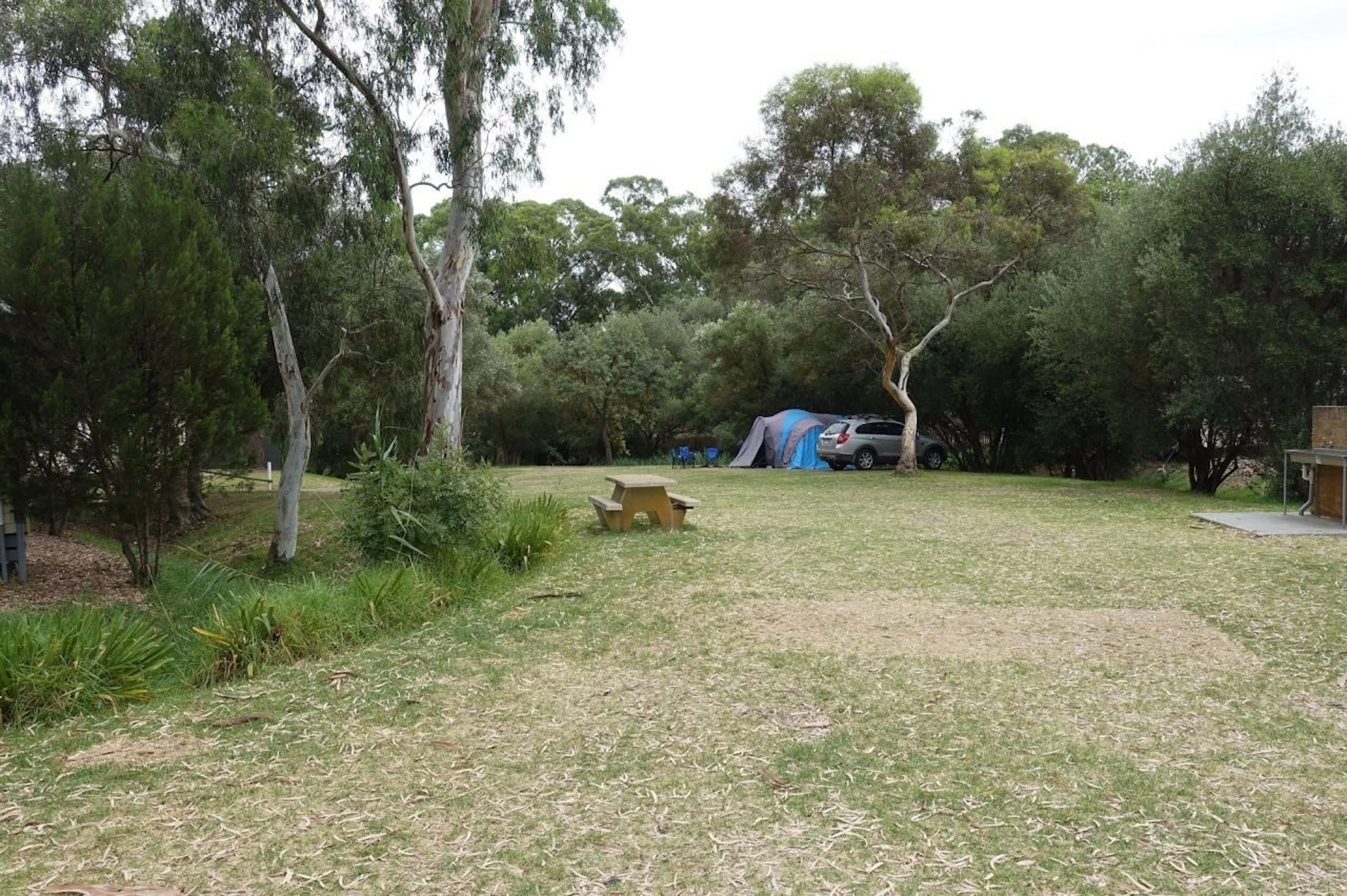 Discovery Parks - Barossa Valley in Tanunda, SA — photo 4