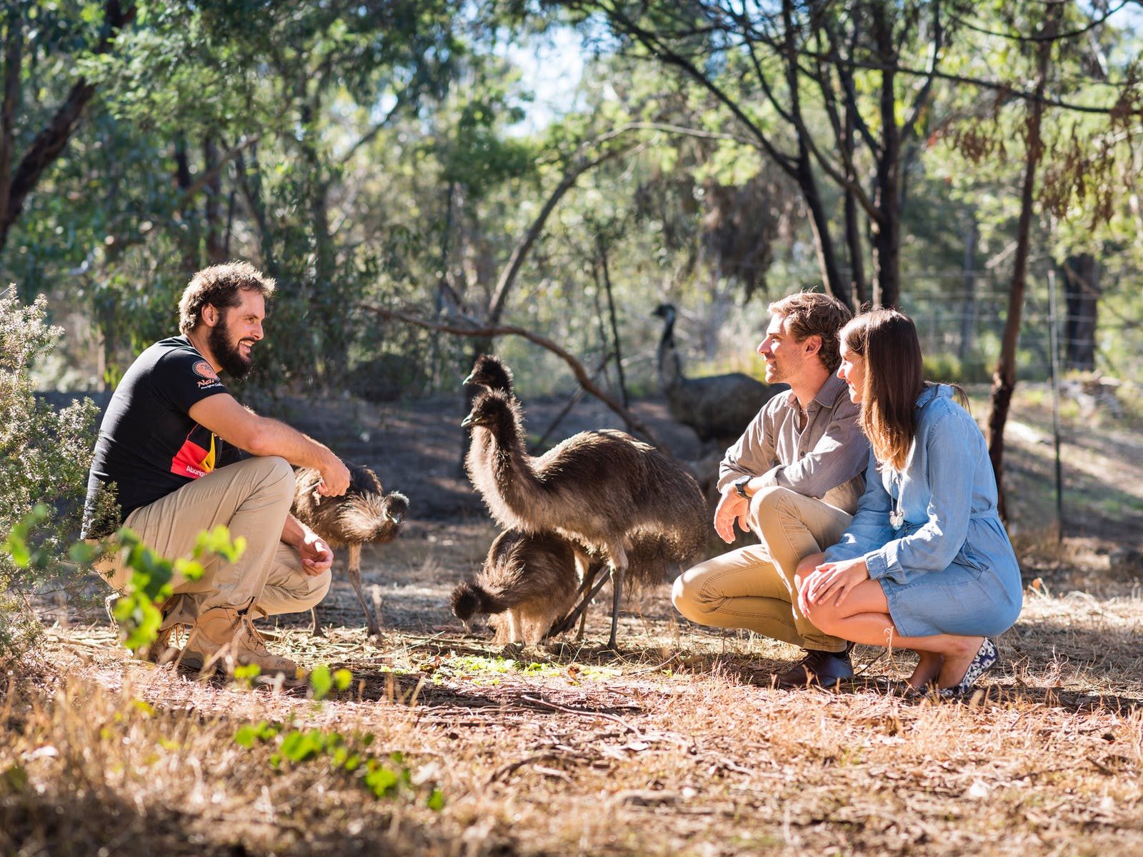Explore Australia Tours in Melbourne, VIC — photo 3