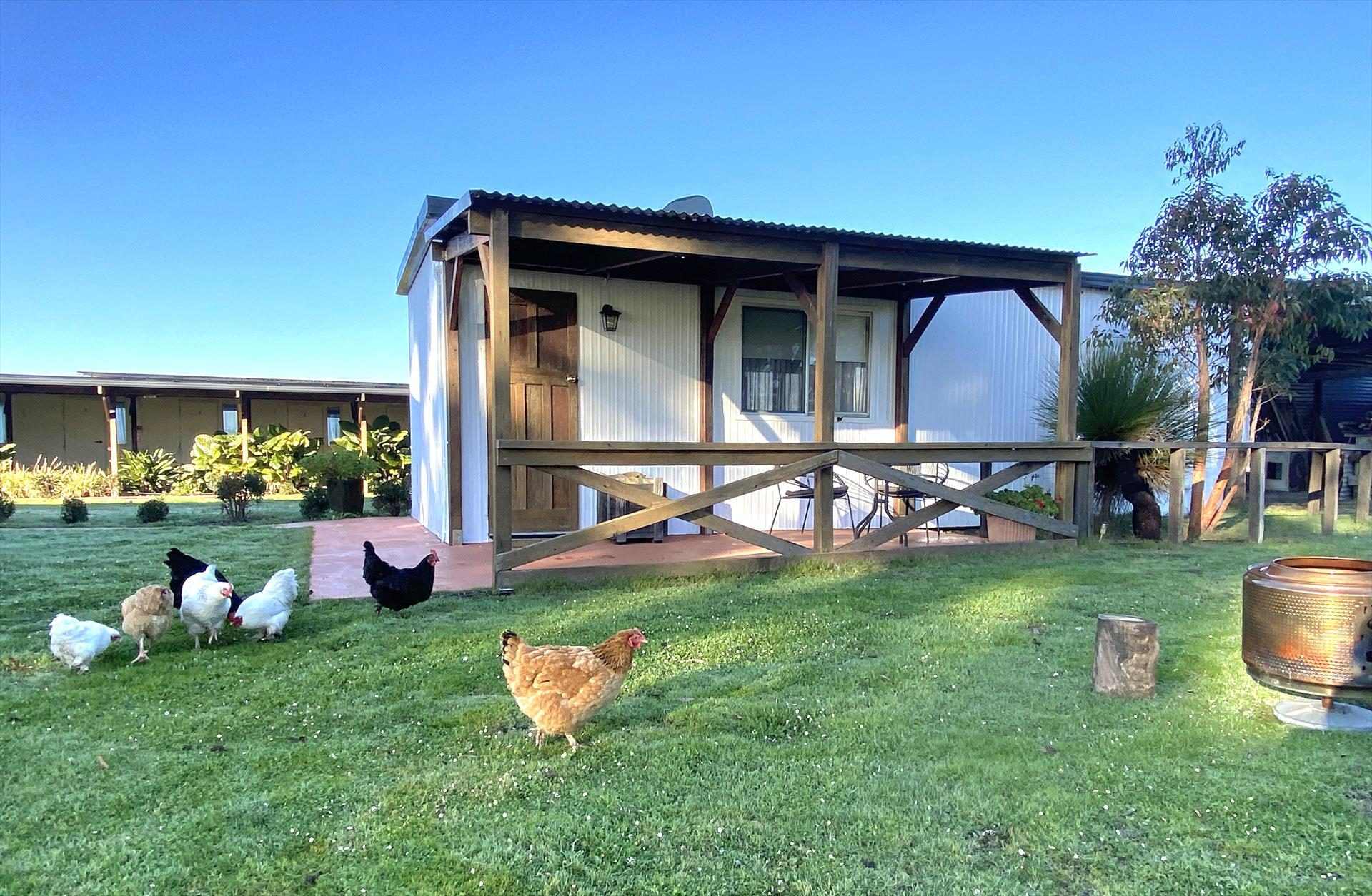 Wilga Farm Stay in Wilga, WA — photo 3