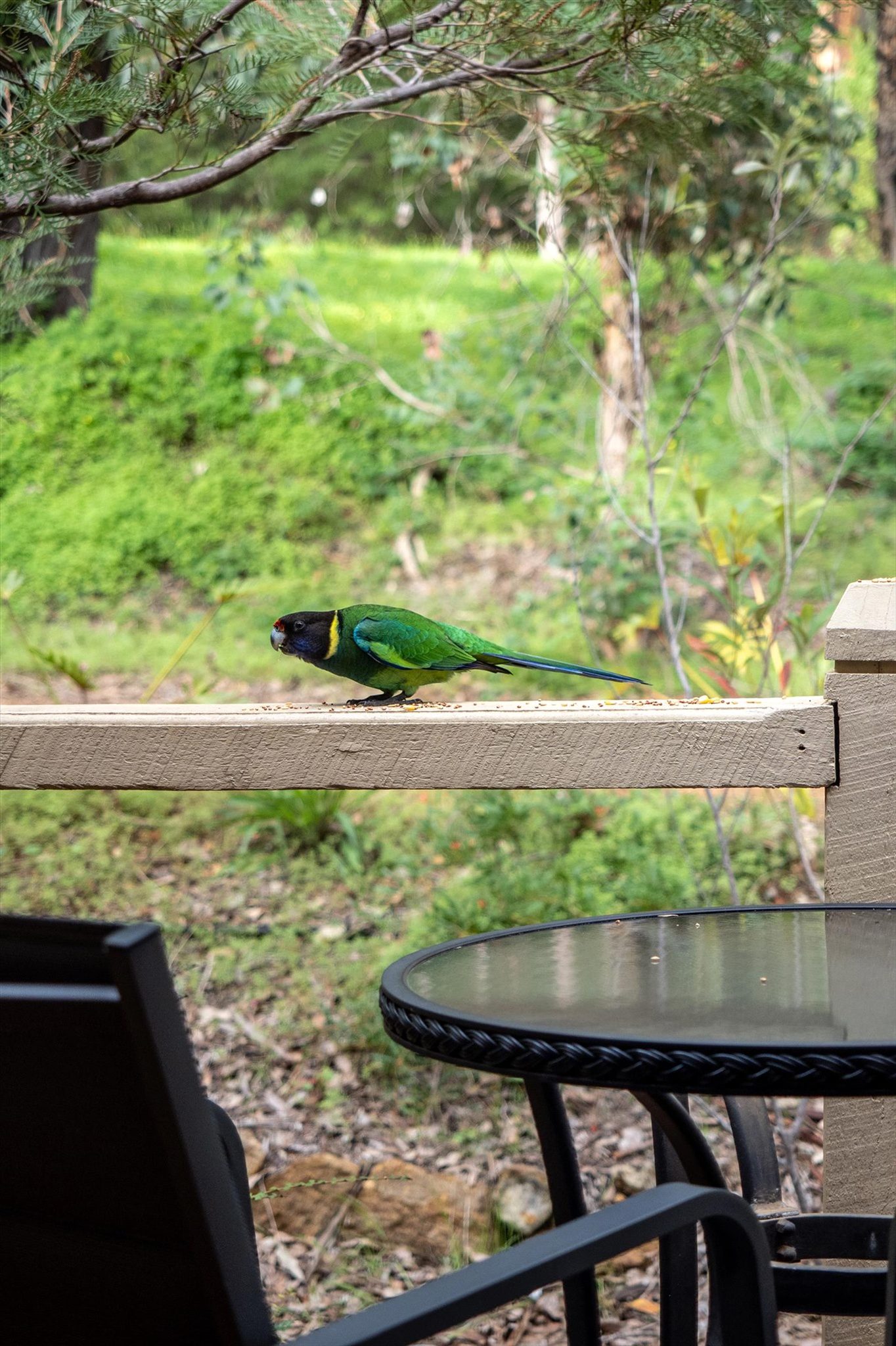 Heritage Trail Lodge in Margaret River, WA — photo 4