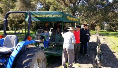 Around and About in Williamstown, VIC — photo 2
