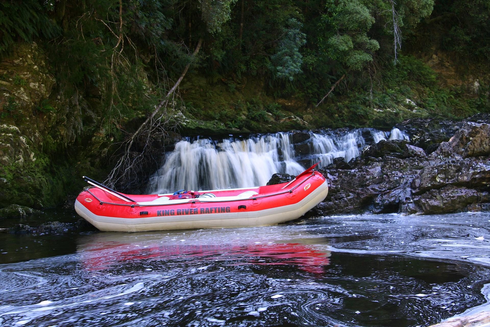 King River Rafting in Sandy Bay, TAS — photo 4