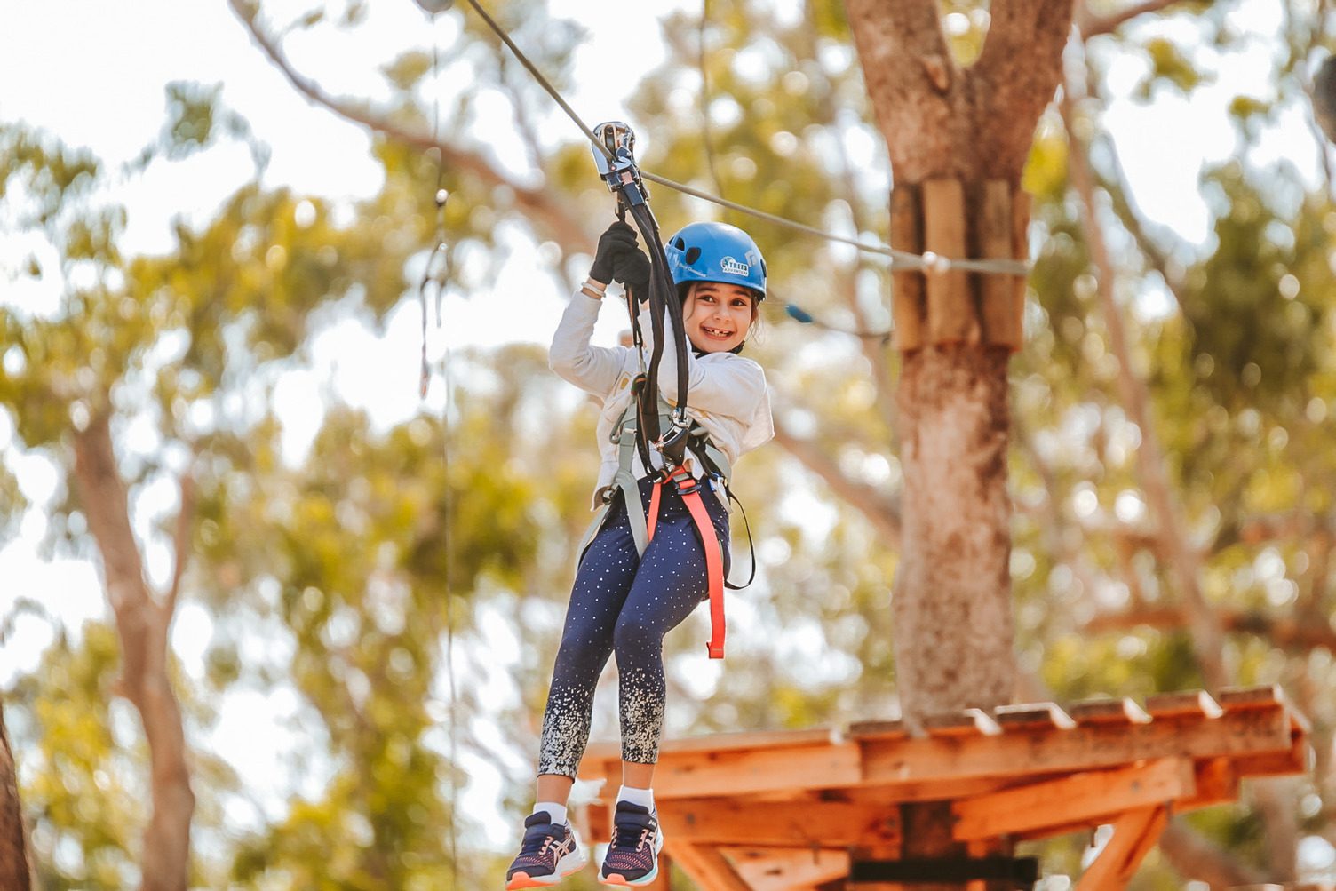 Treetops Adventure Yanchep in Yanchep, WA — photo 3