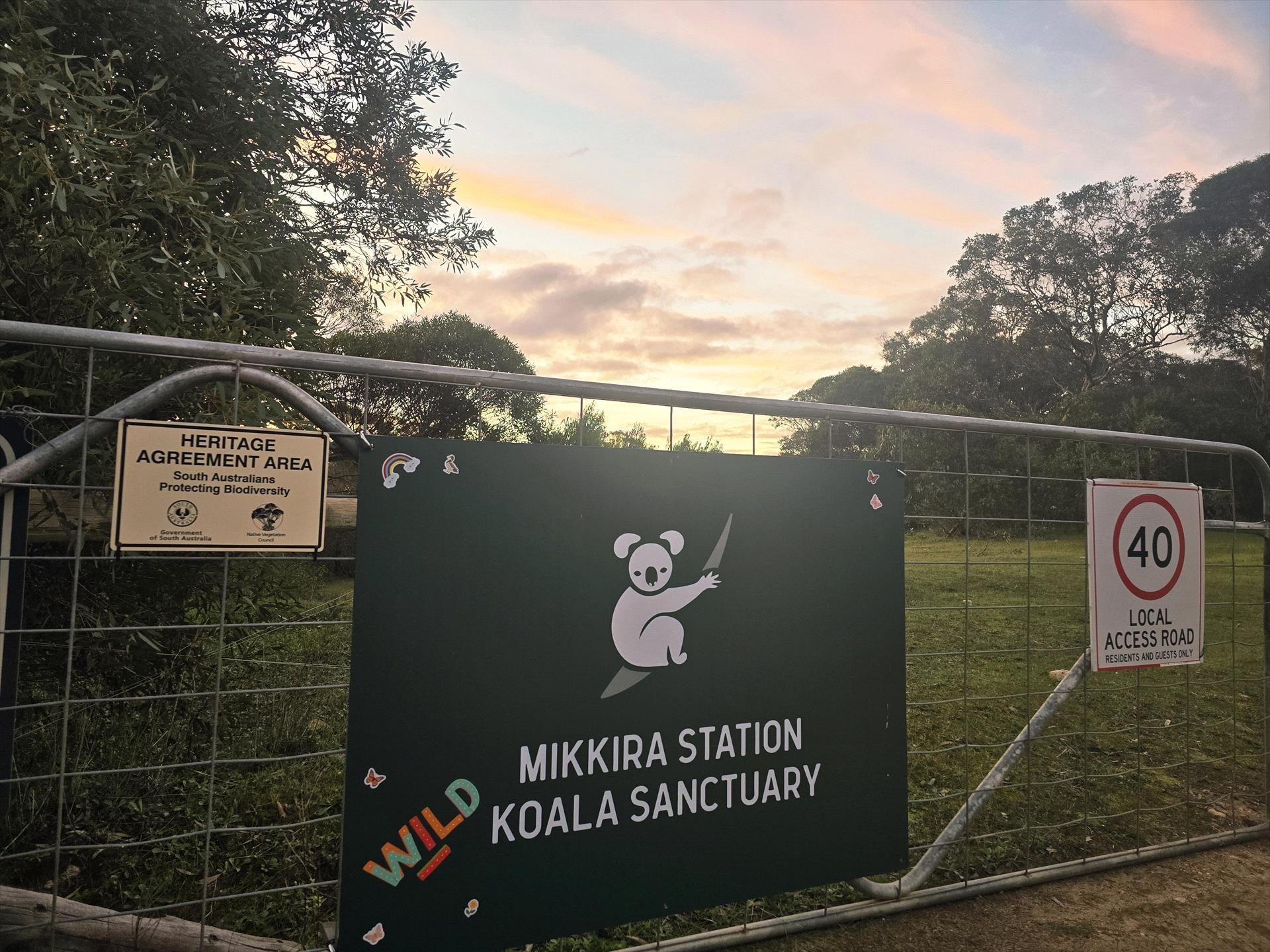 Mikkira Station Koala Sanctuary Tours in Port Lincoln, SA — photo 5