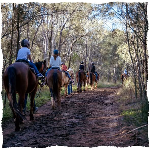 Hunter Valley Resort, Adventure Centre + Farm in Pokolbin, NSW — photo 2