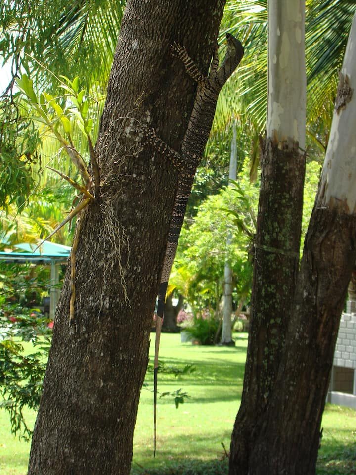 Balgal Beach Units in Rollingstone, QLD — photo 5