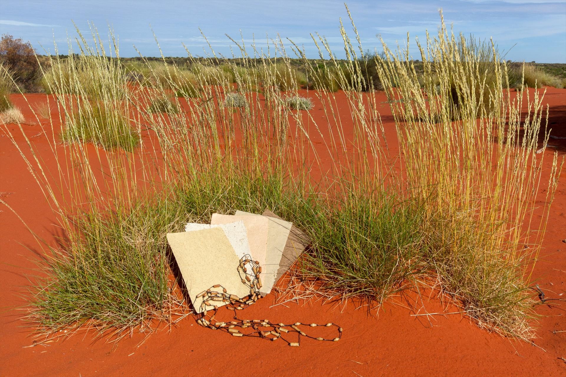Curtin Springs Paper Tours in South of Alice Springs, NT — photo 2