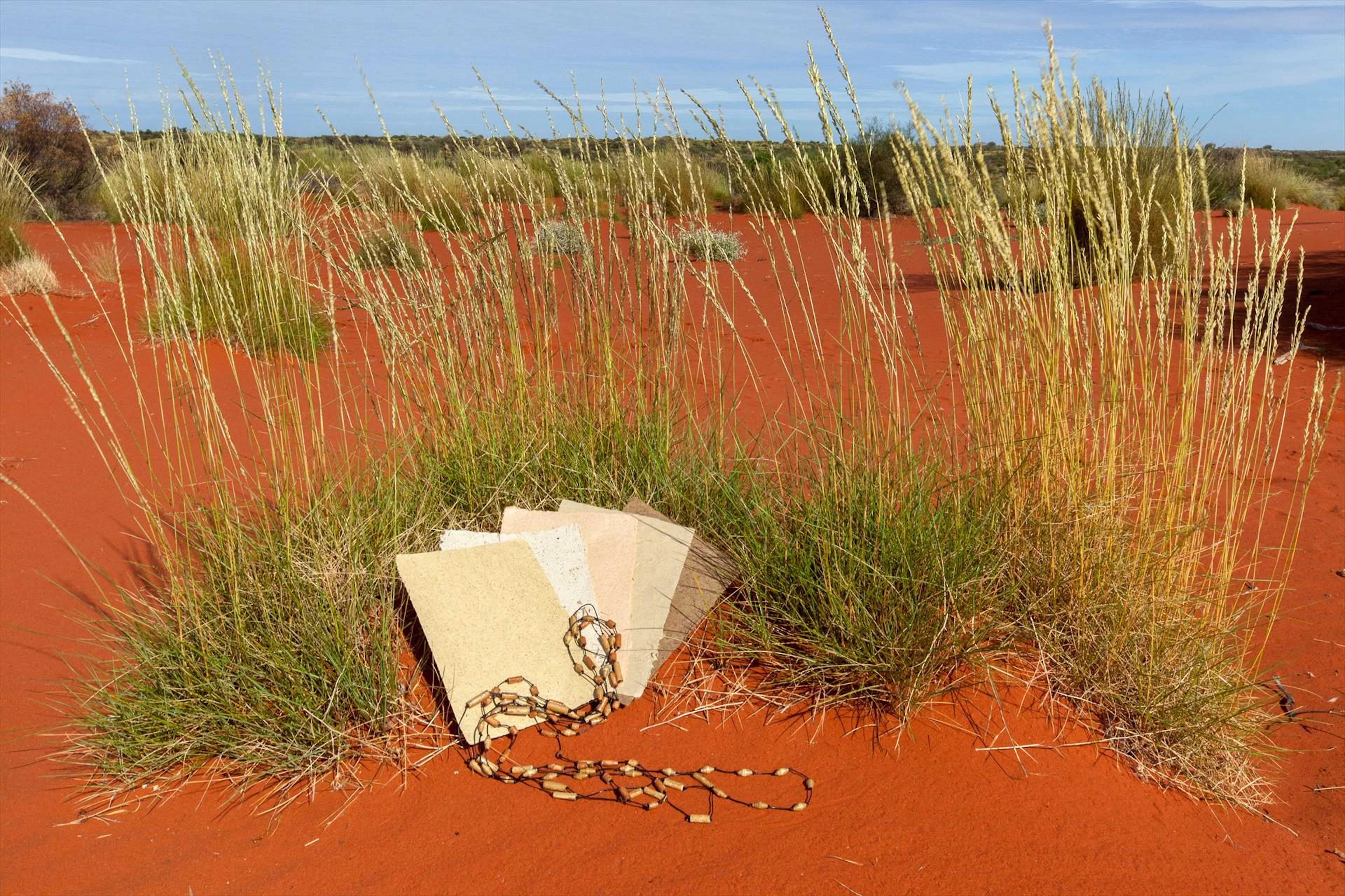 Curtin Springs Paper Tours in South of Alice Springs, NT — photo 2