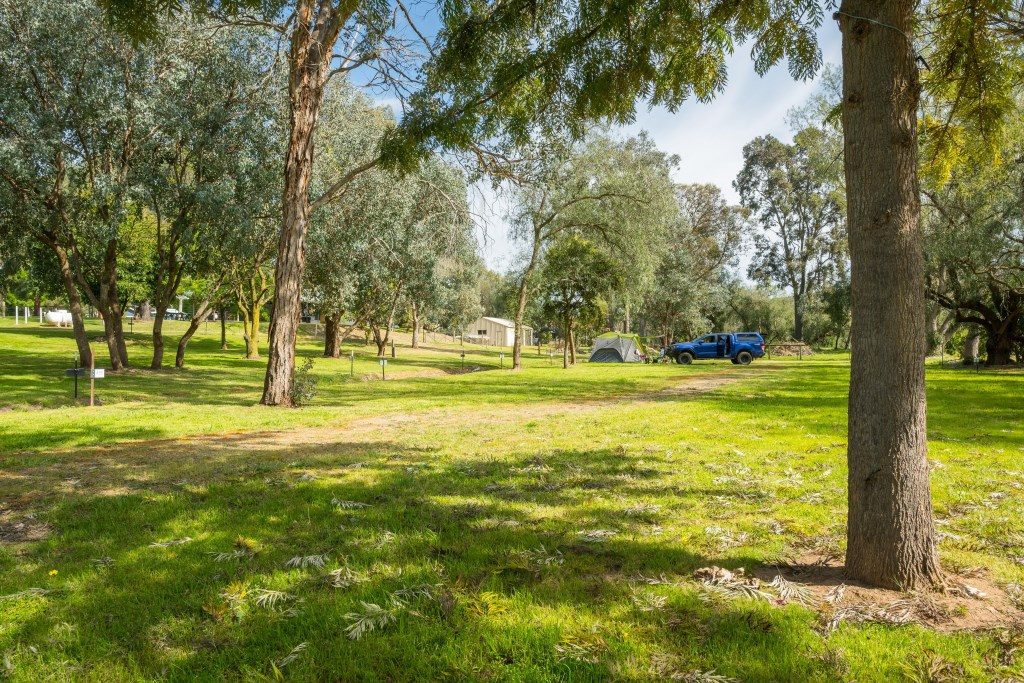 Eldorado Caravan Park in Eldorado, VIC — photo 5