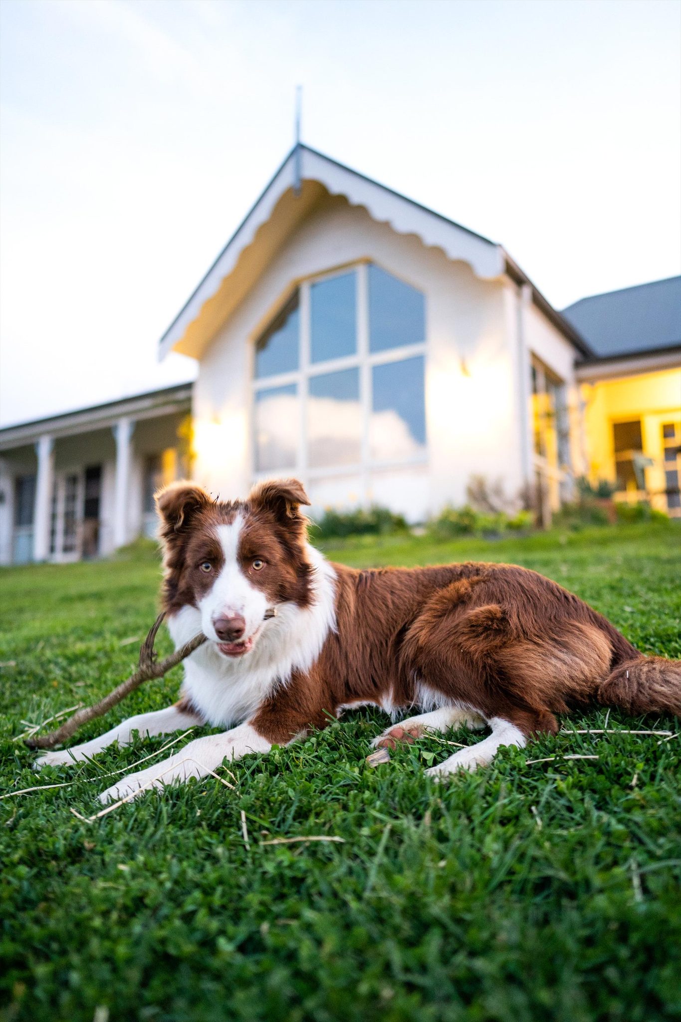 Kenzell Farm — Oberon, NSW