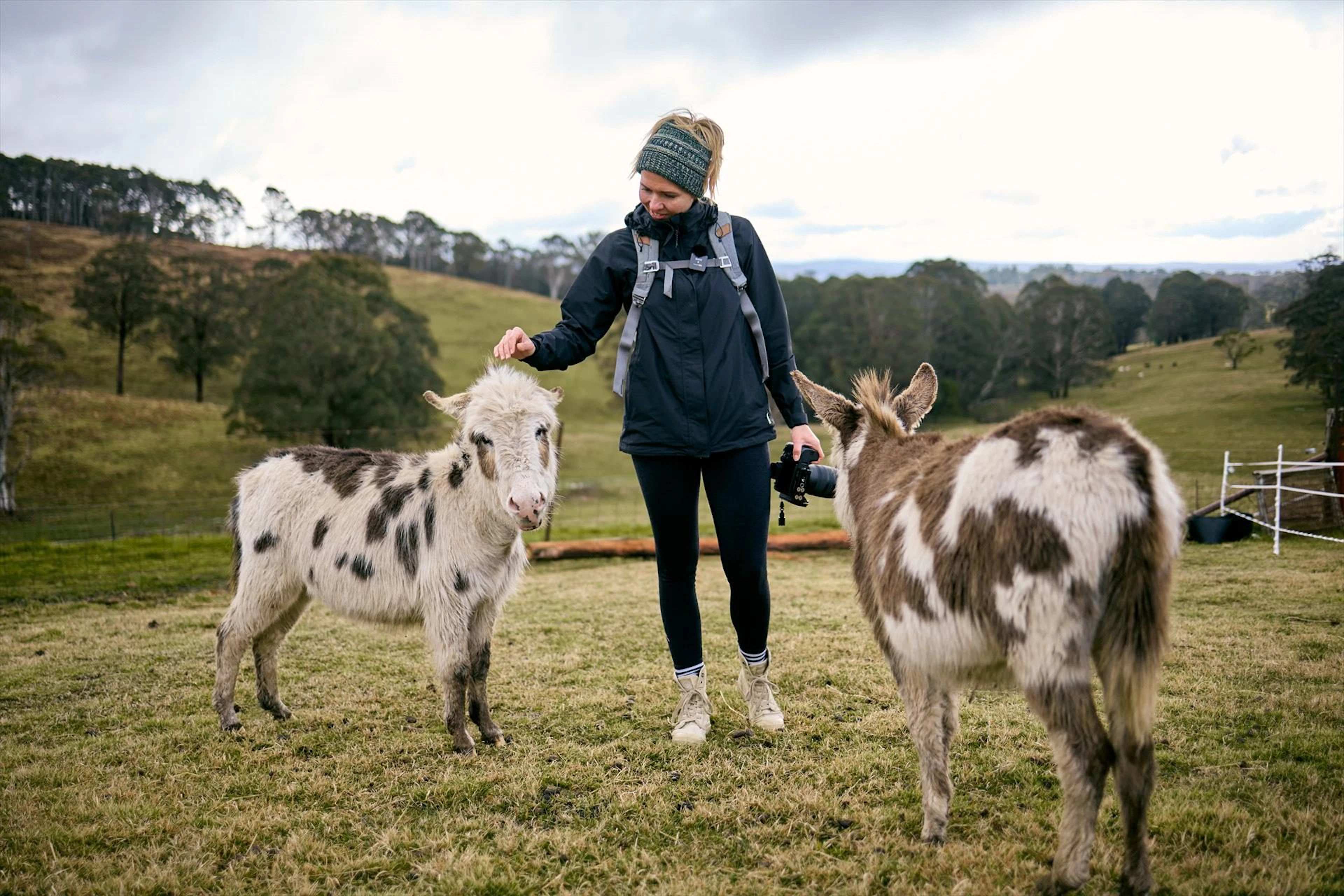 Kenzell Farm in Oberon, NSW — photo 4