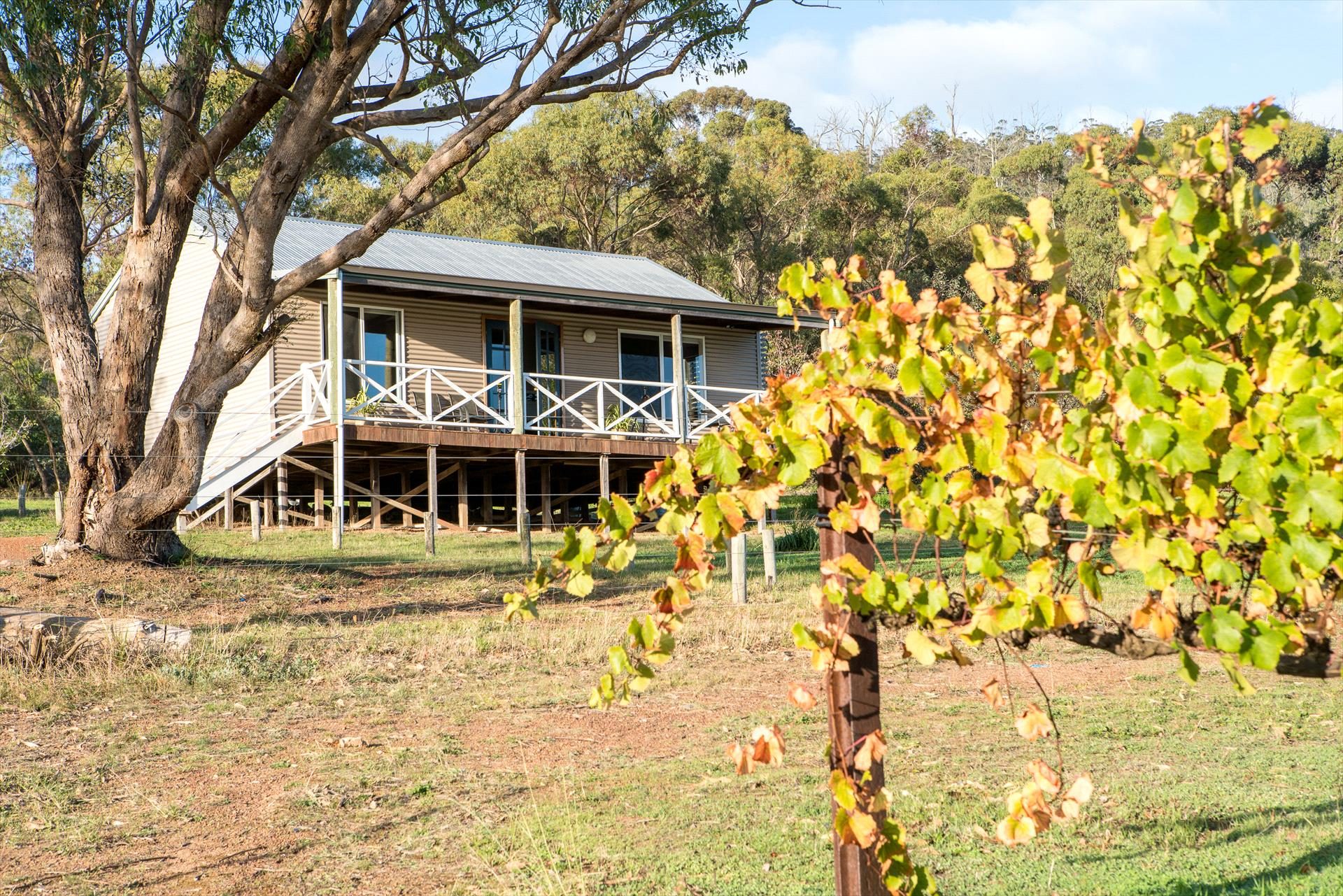 Sleeping Lady Private Retreat in Porongurup, WA — photo 5