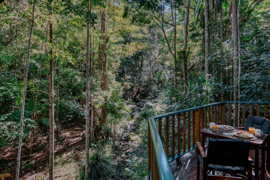 Narrows Escape Rainforest Retreat in Montville, QLD — photo 4