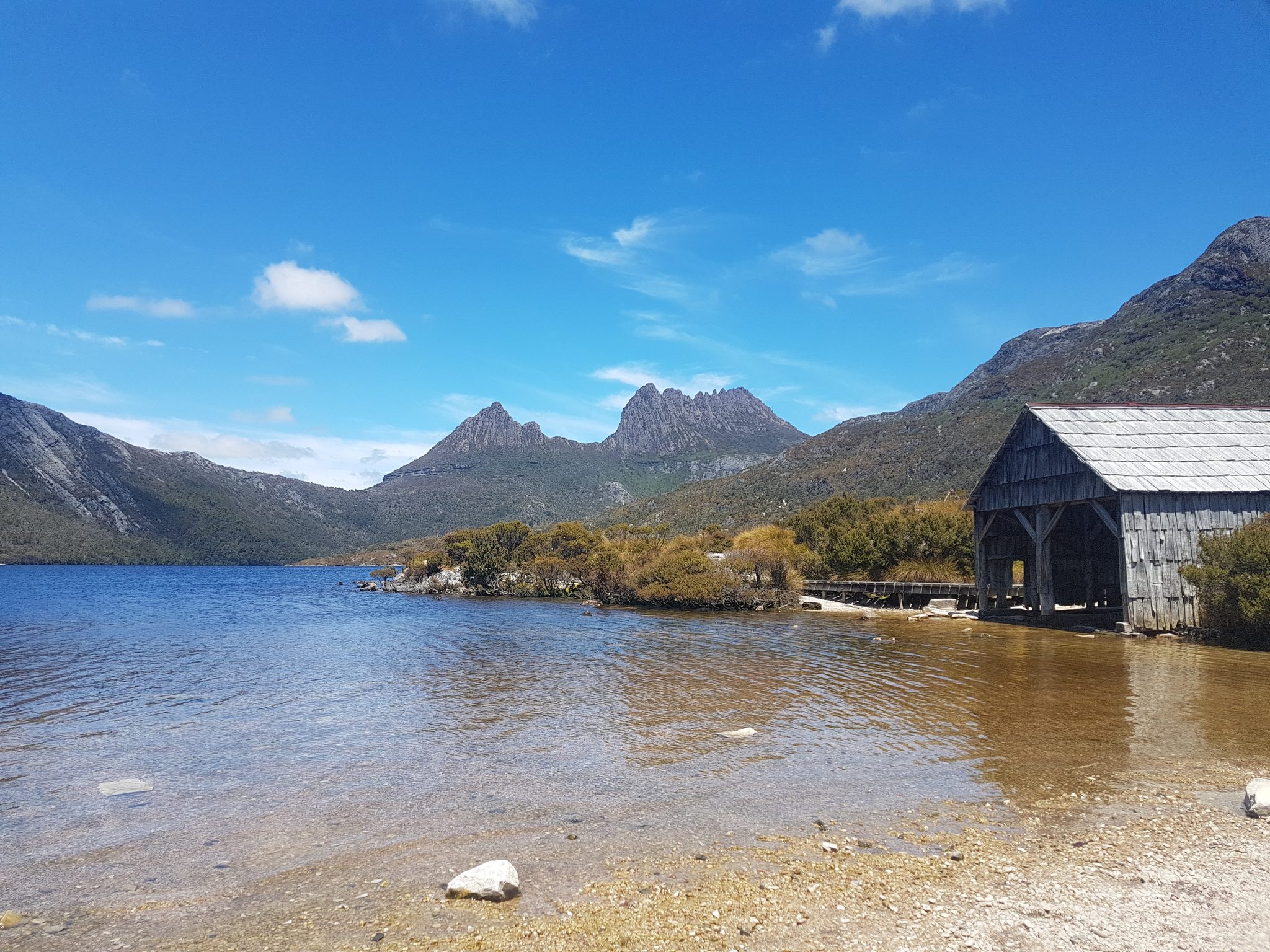 Wild Tasmania Tours in Hobart, TAS — photo 3
