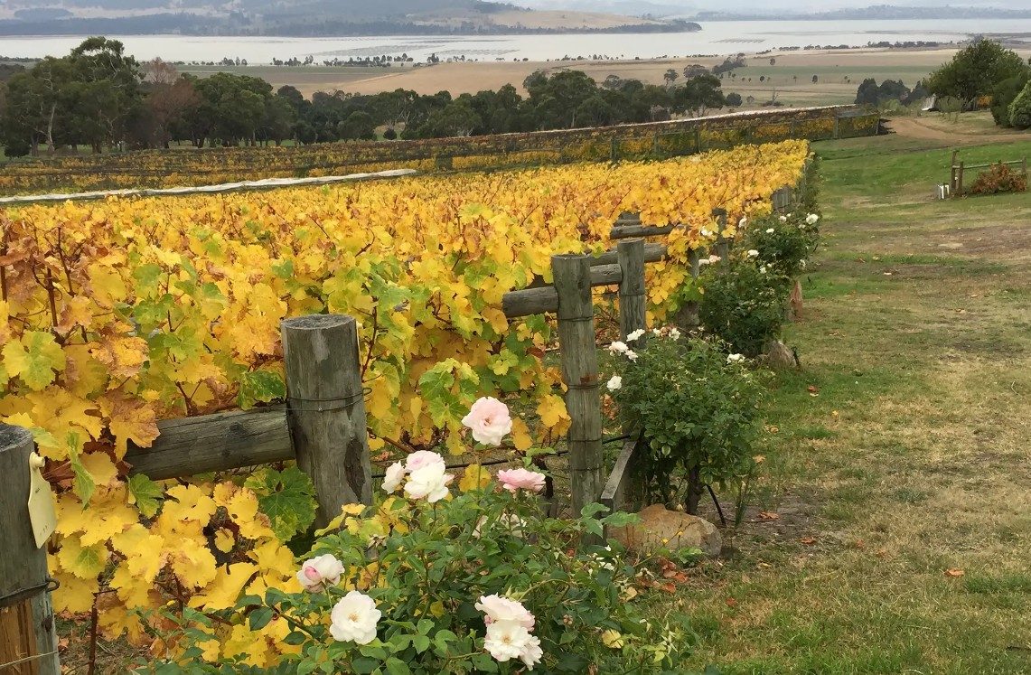 Boutique Wine Tours Tasmania in Brighton, TAS — photo 3