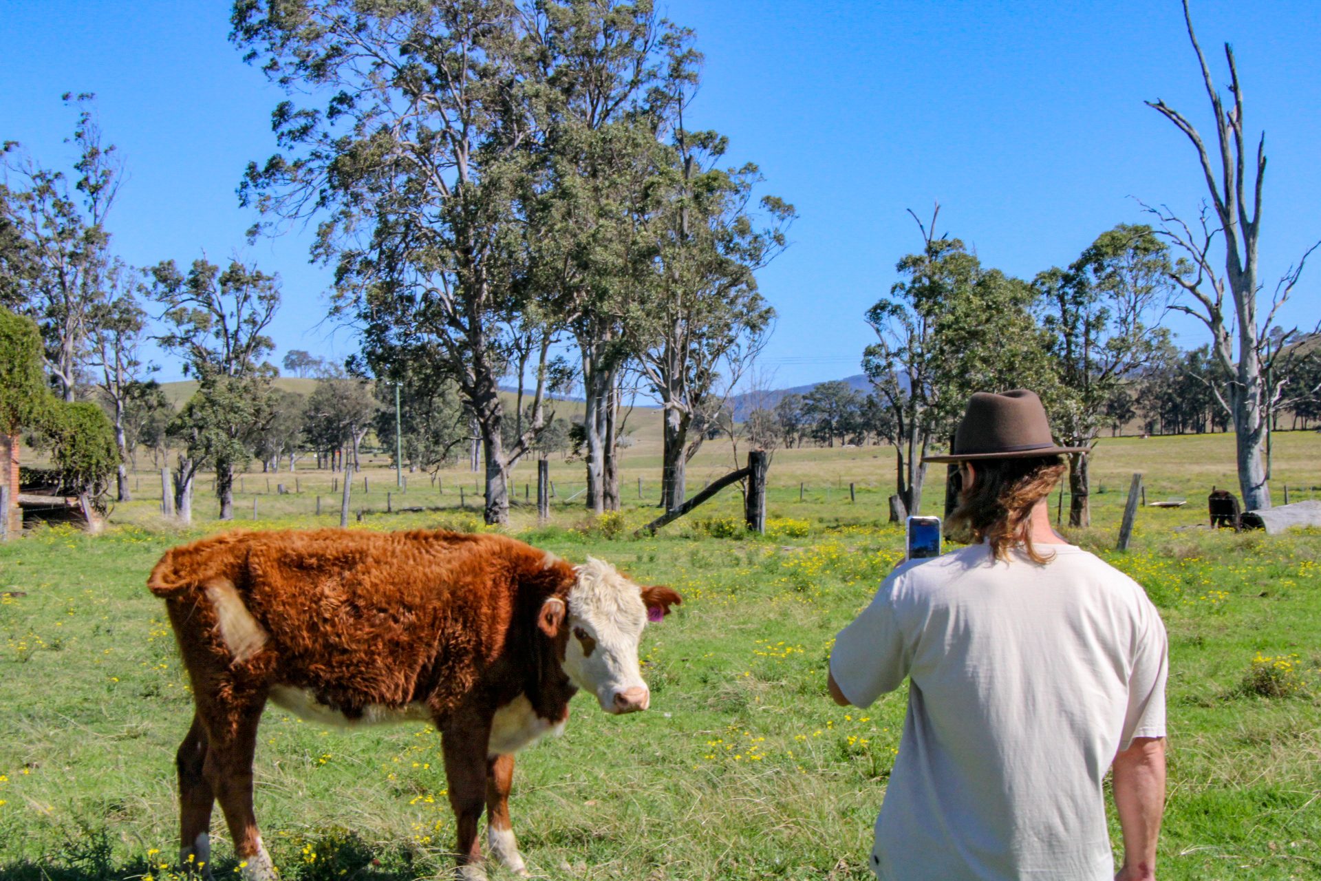 Newy Tour Co. in Newcastle, NSW — photo 3