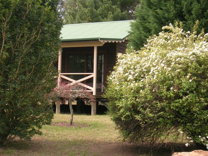 Madison's Mountain Retreat in Kurrajong Heights, NSW — photo 5