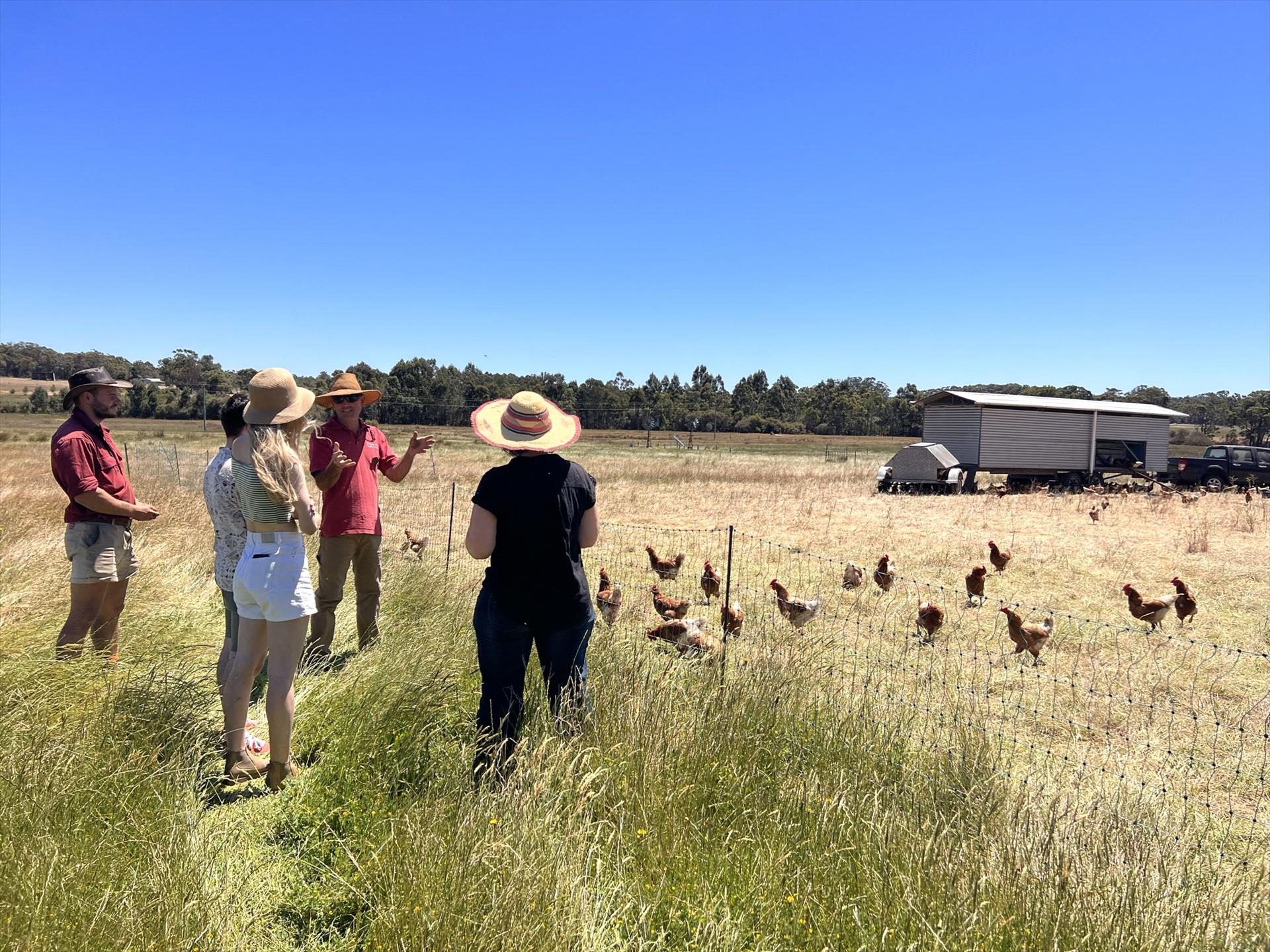 Forage Safaris in Busselton, WA — photo 2