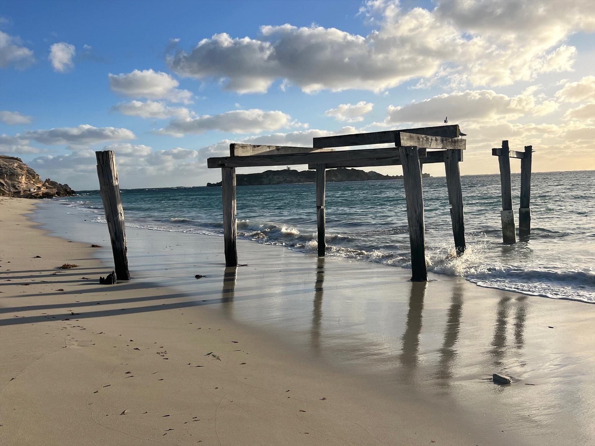 Forage Safaris in Busselton, WA — photo 4