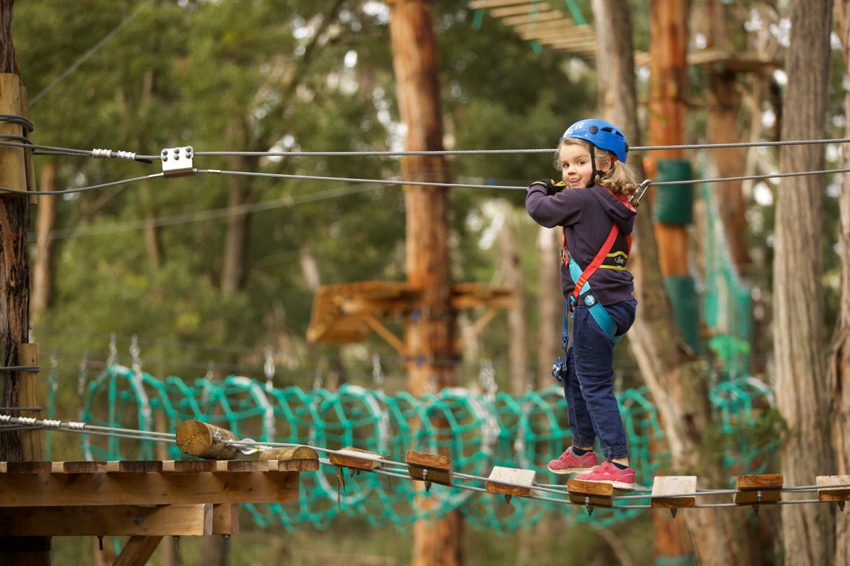 Treetops Adventure Yeodene in Yeodene, VIC — photo 3