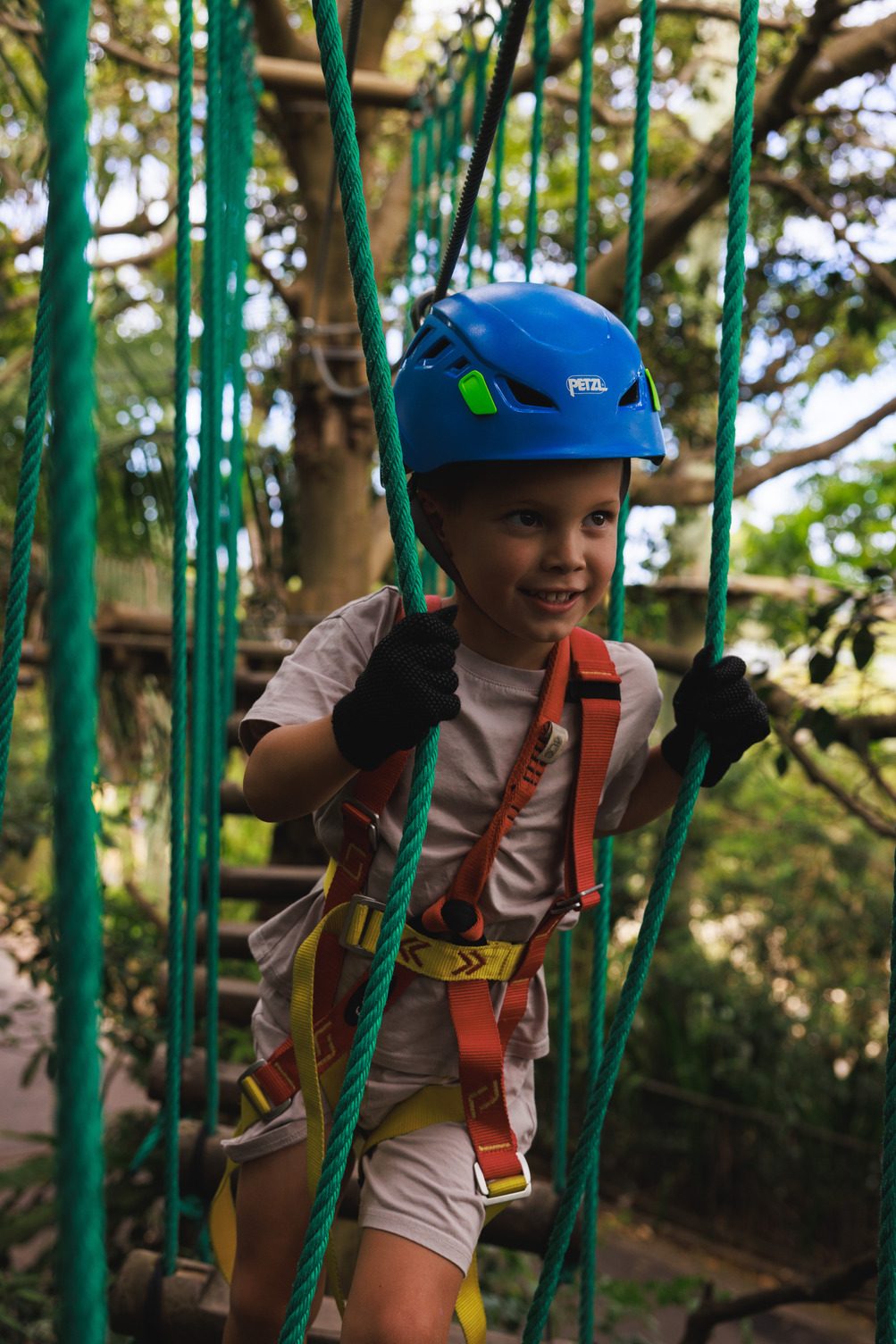 Treetops Adventure Yeodene in Yeodene, VIC — photo 1