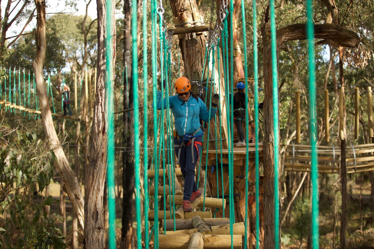 Treetops Adventure Yeodene in Yeodene, VIC — photo 2