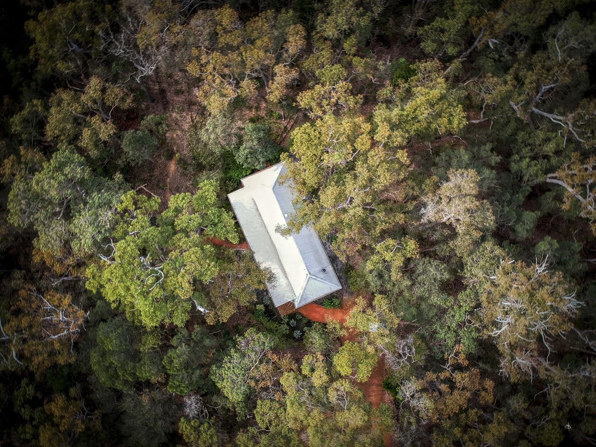 Forest Rise in Yelverton, WA — photo 4