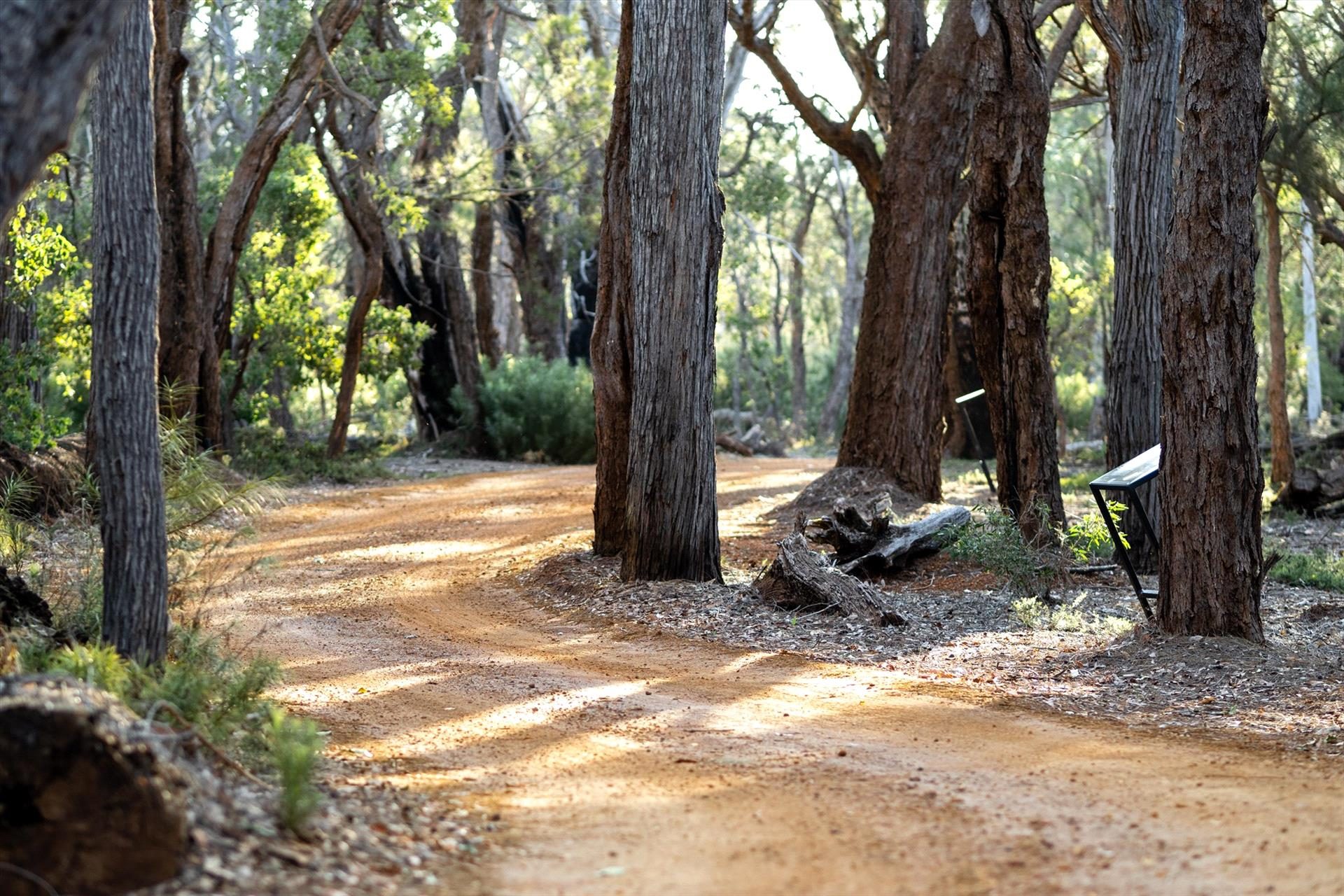 Forest Rise in Yelverton, WA — photo 1