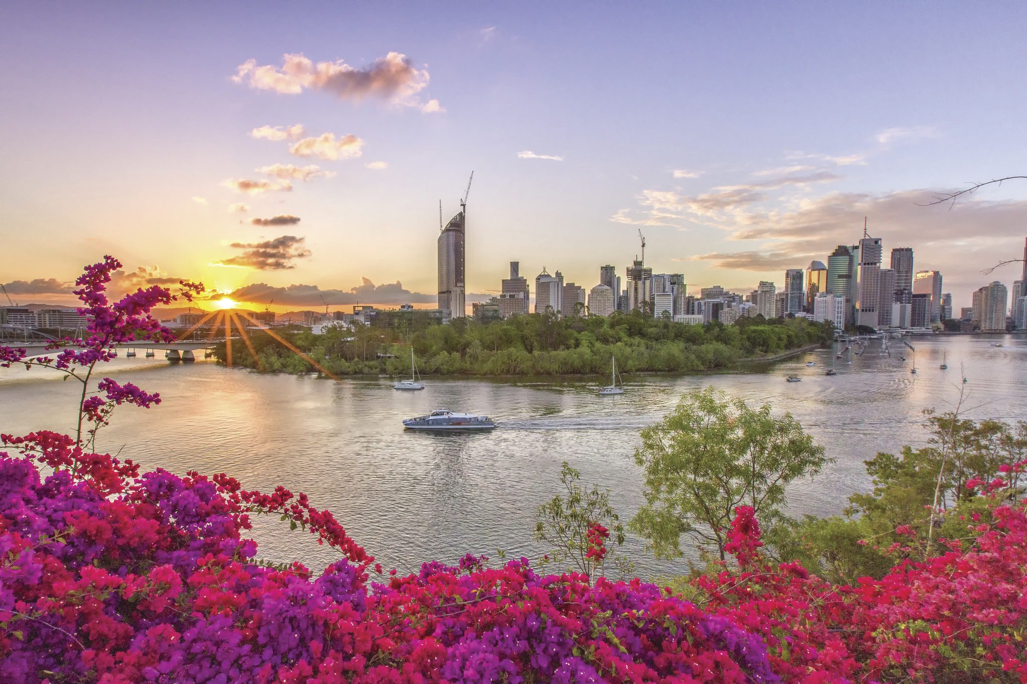 River to Bay in Hamilton, QLD — photo 3