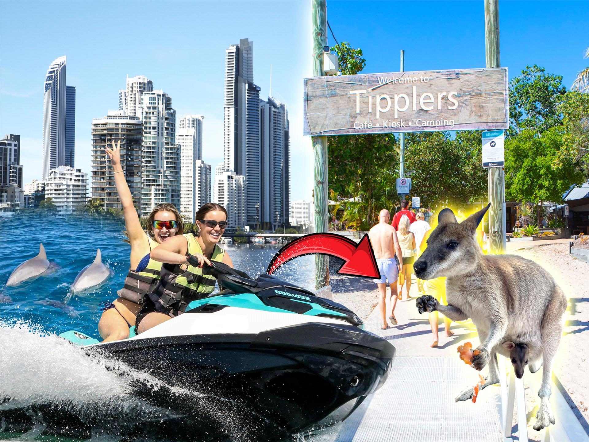 Odyssey Jet Ski Tours in Surfers Paradise, QLD — photo 3