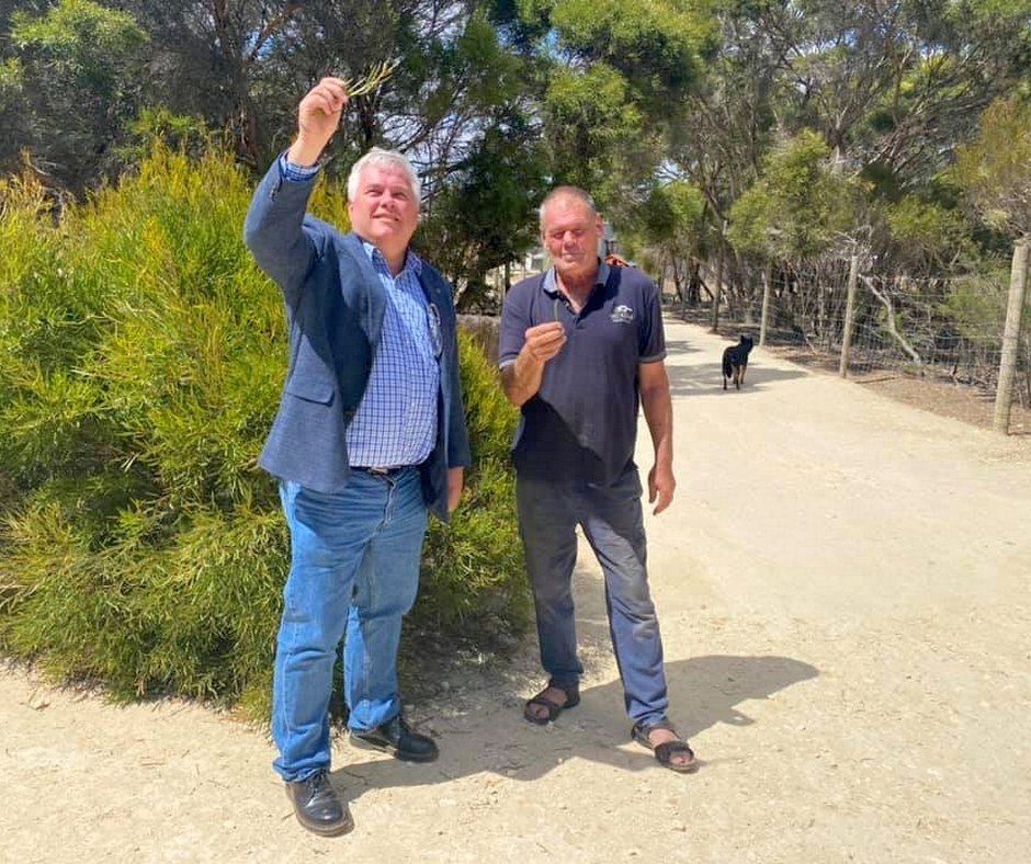 Emu Ridge Eucalyptus Distillery in Macgillivray, SA — photo 4