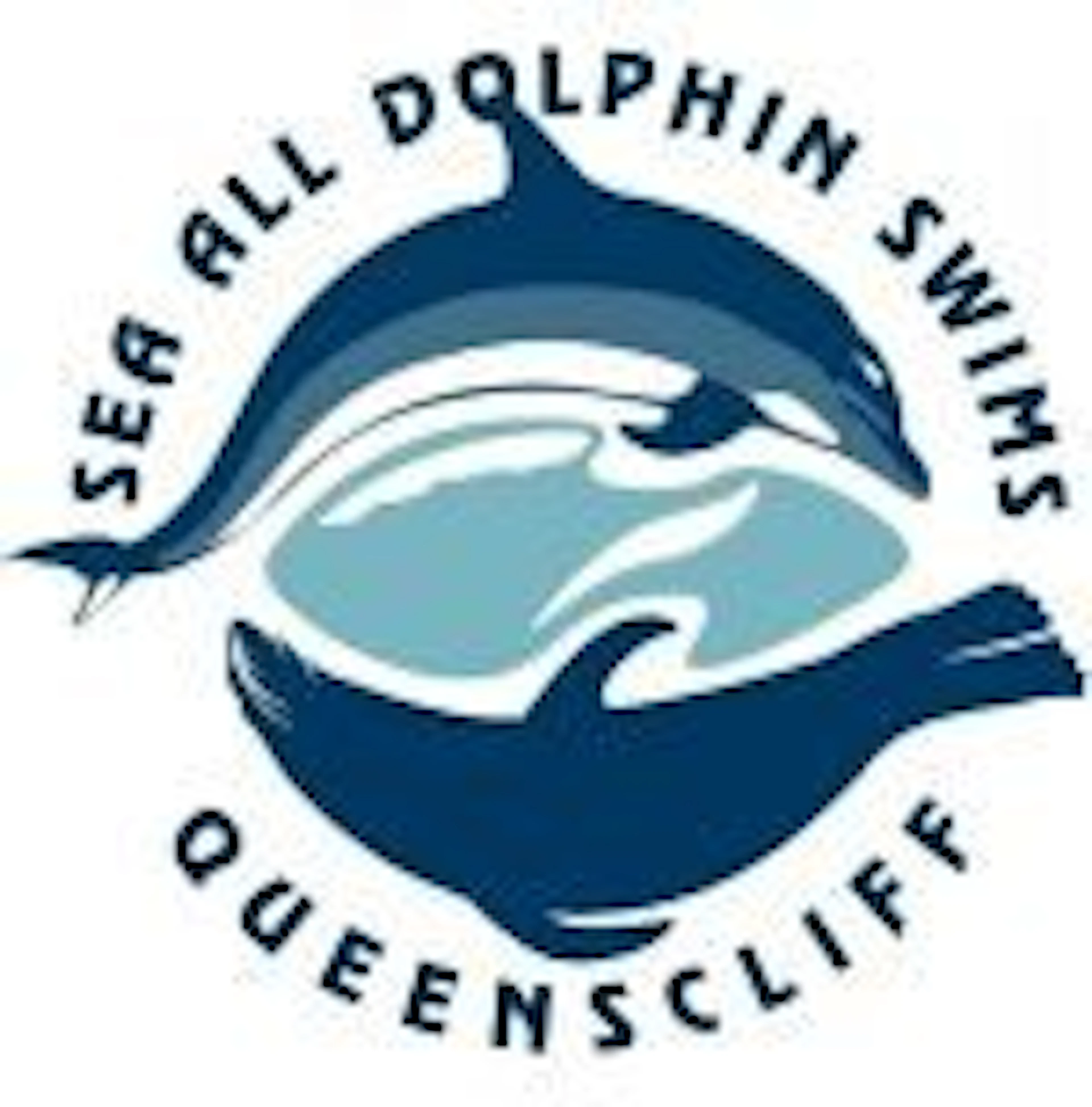 Sea All Dolphin Swims in Queenscliff, VIC — photo 2