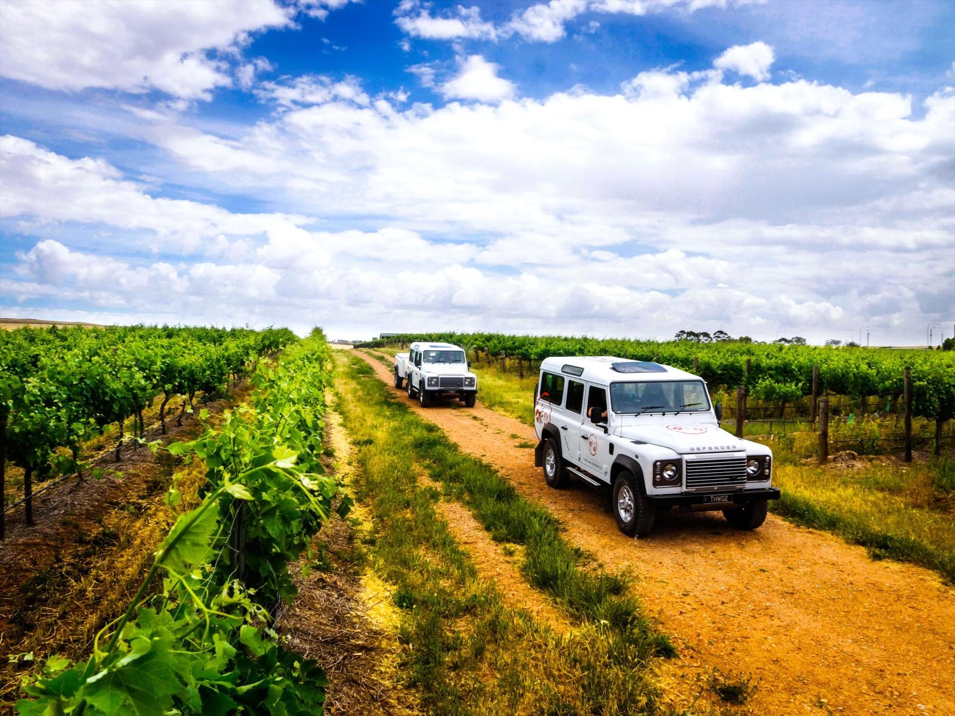 Two Hands Wines in Marananga, SA — photo 2