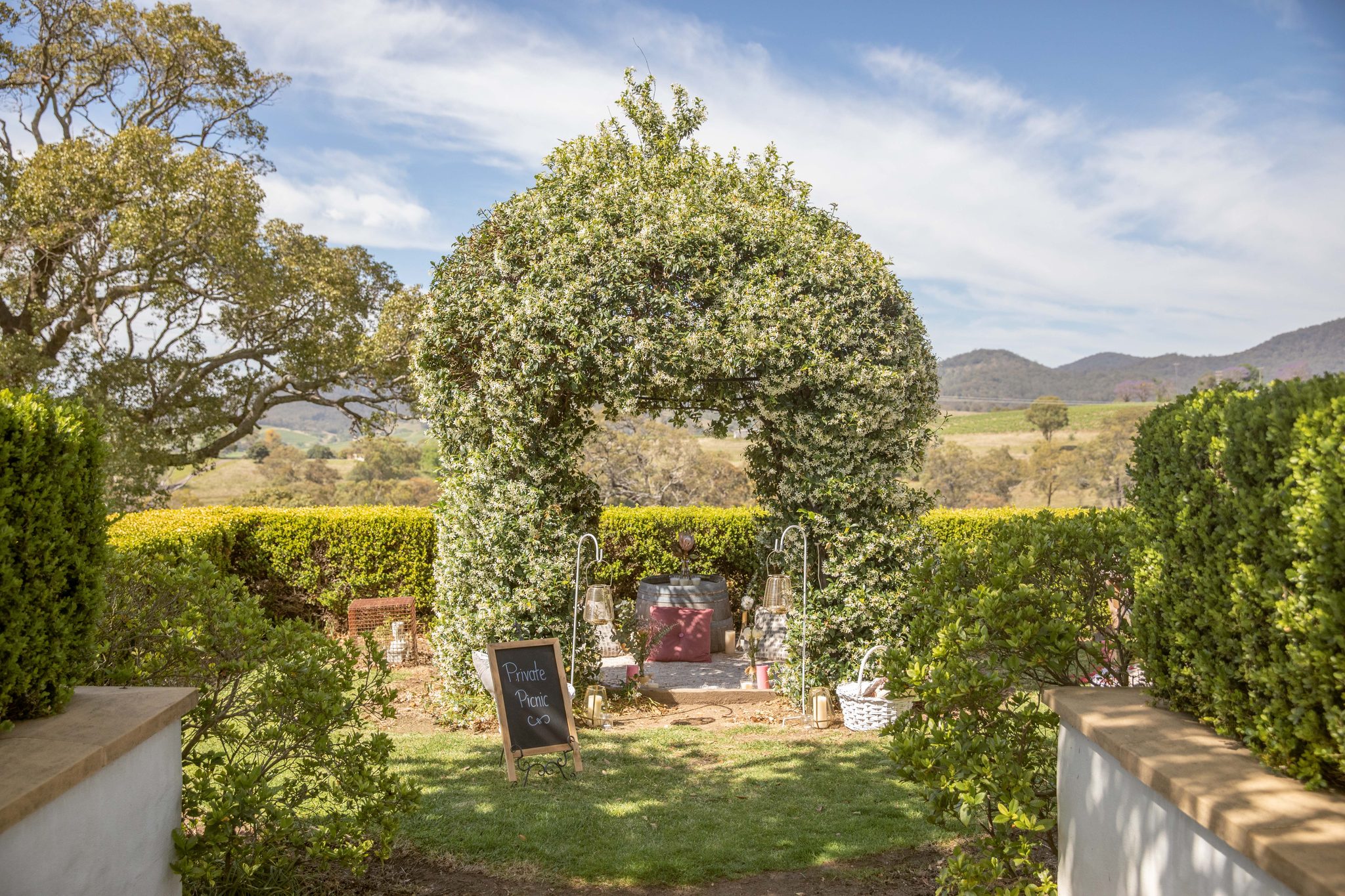 Audrey Wilkinson Vineyard in Pokolbin, NSW — photo 4