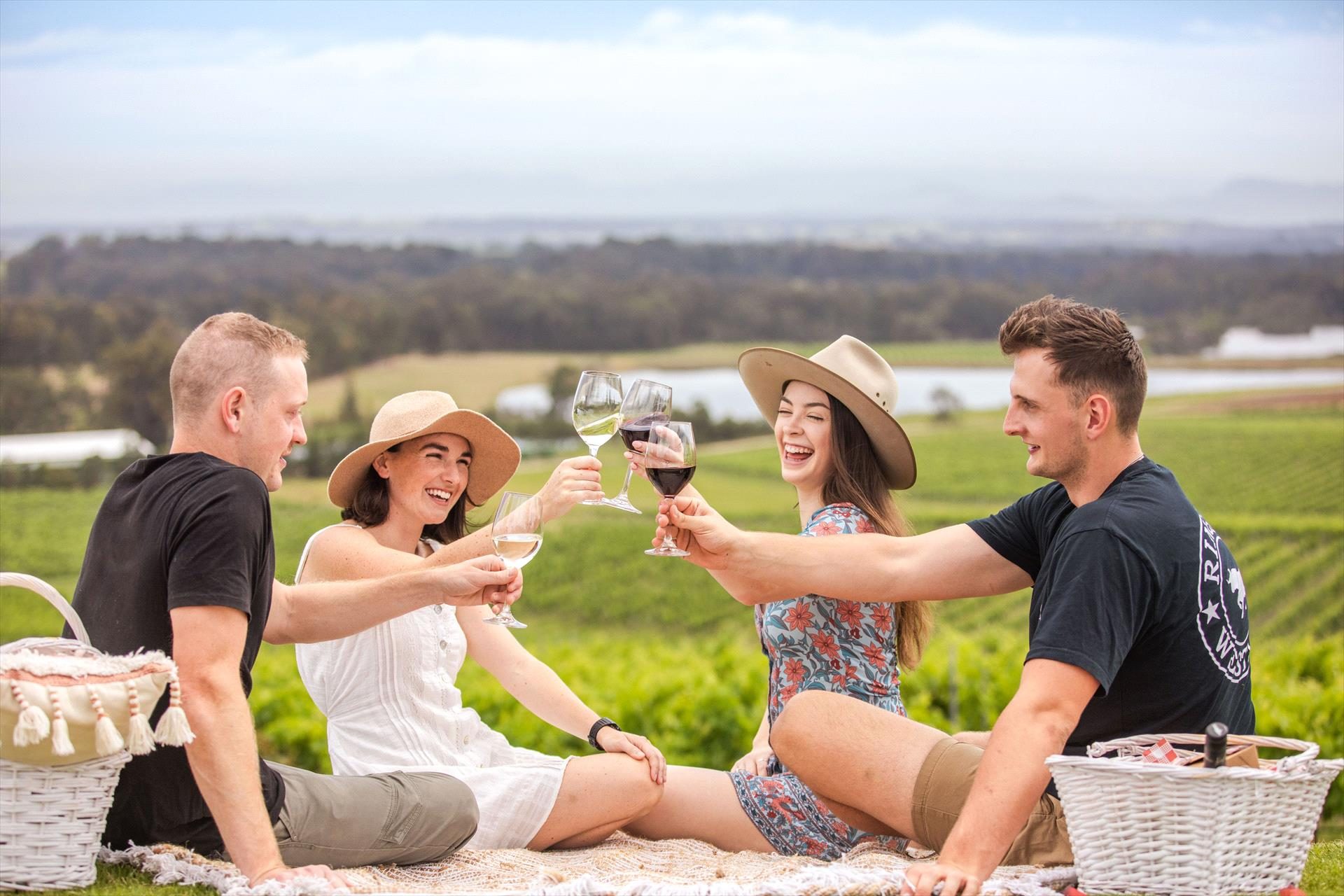 Audrey Wilkinson Vineyard in Pokolbin, NSW — photo 1