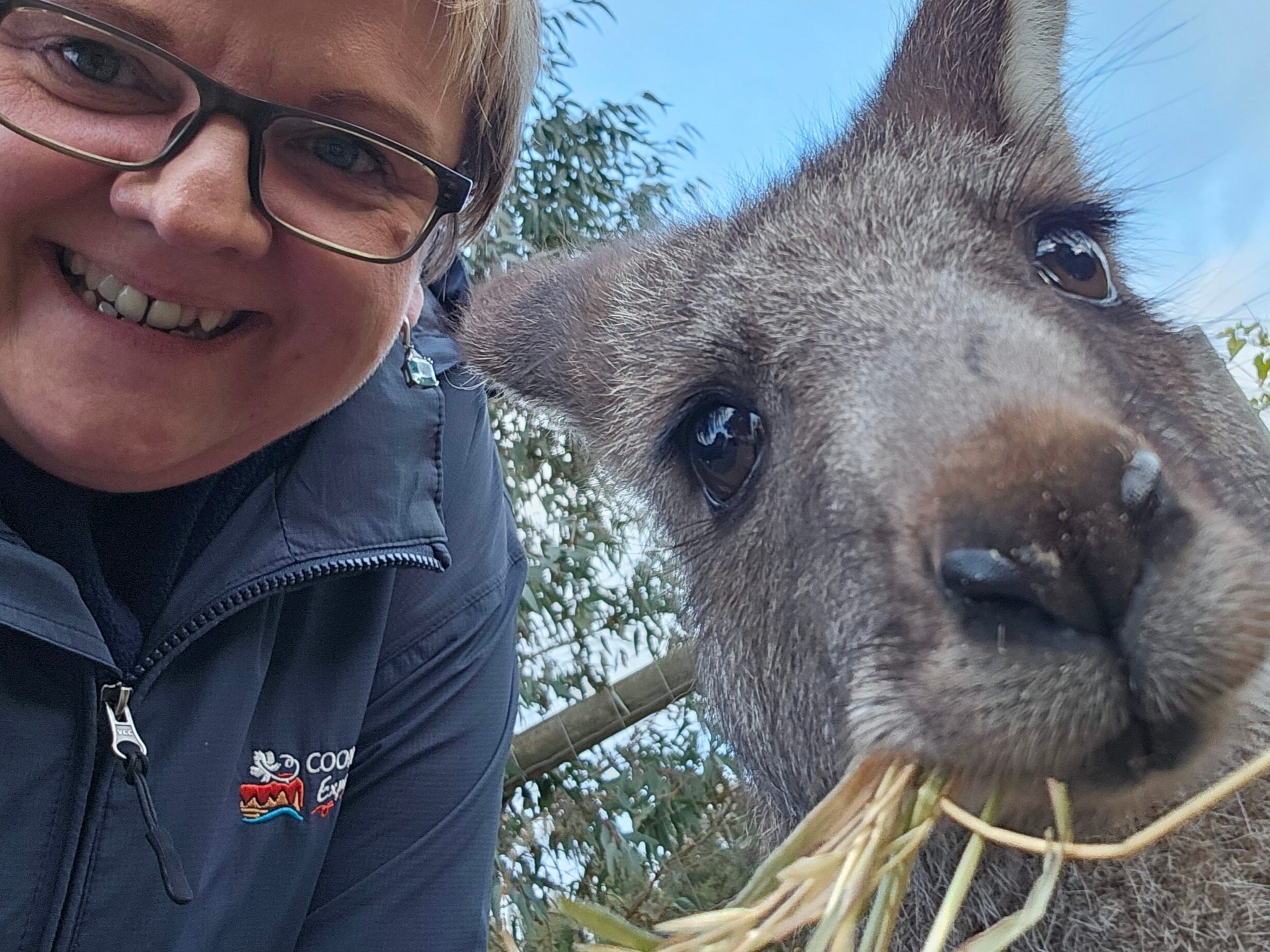 Coonawarra Experiences in Penola, SA — photo 2