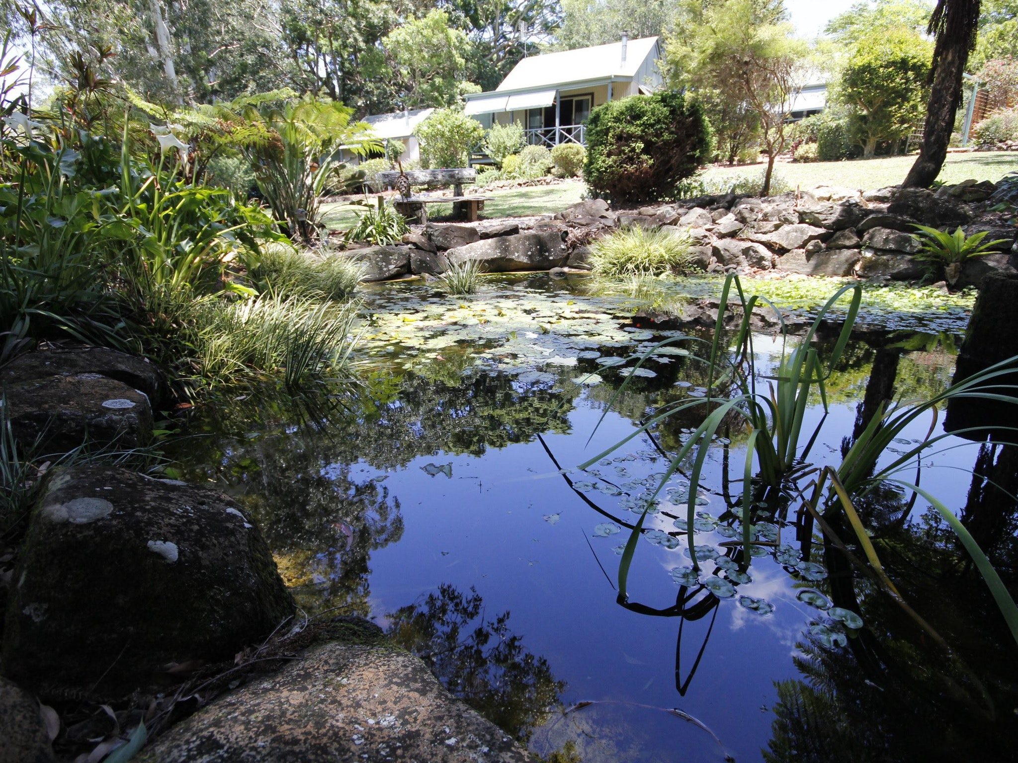 Bendles Cottages in Balmoral Ridge, QLD — photo 2