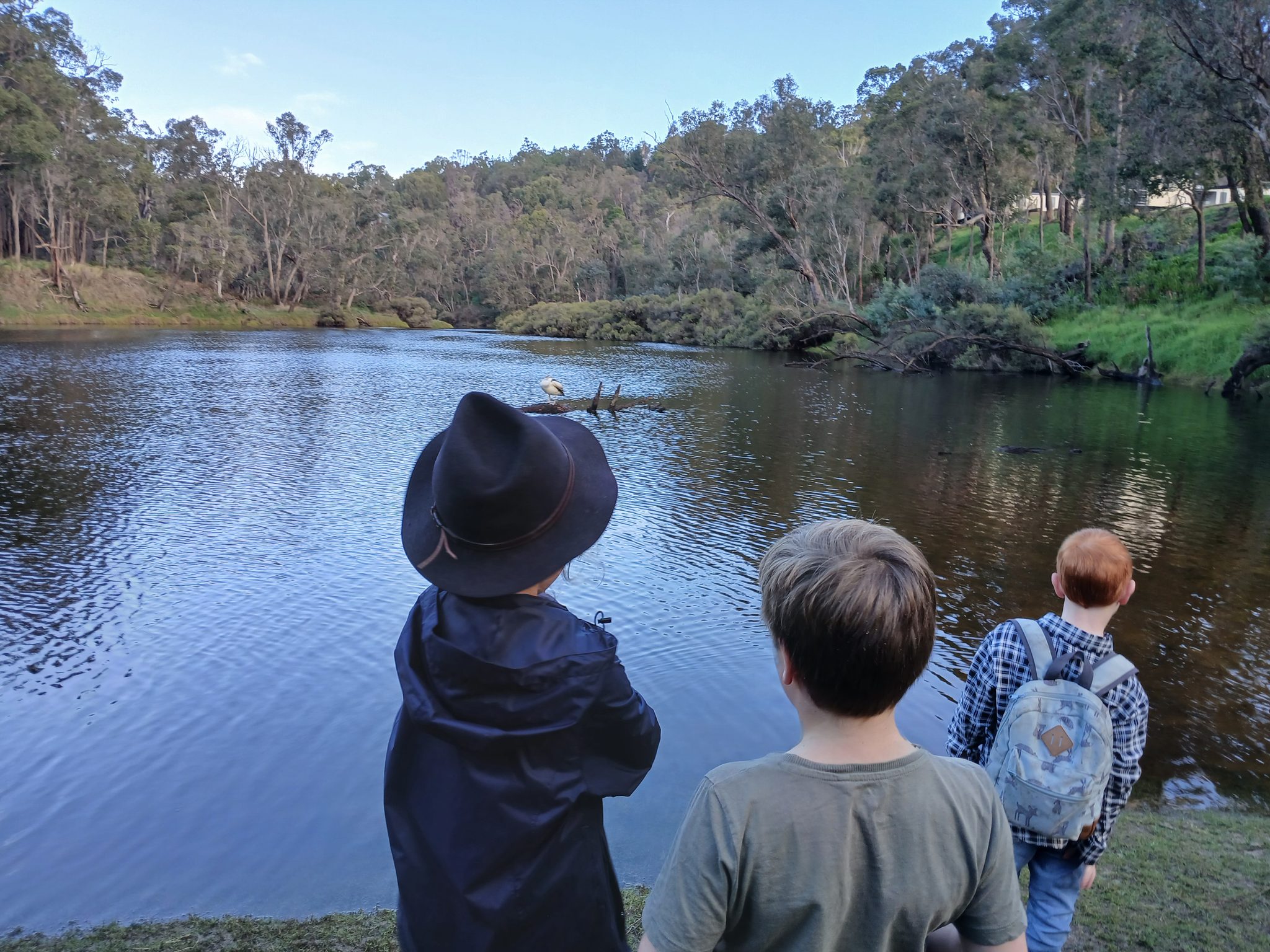 WILD Ones Forest School & Adventures in Pemberton, WA — photo 4