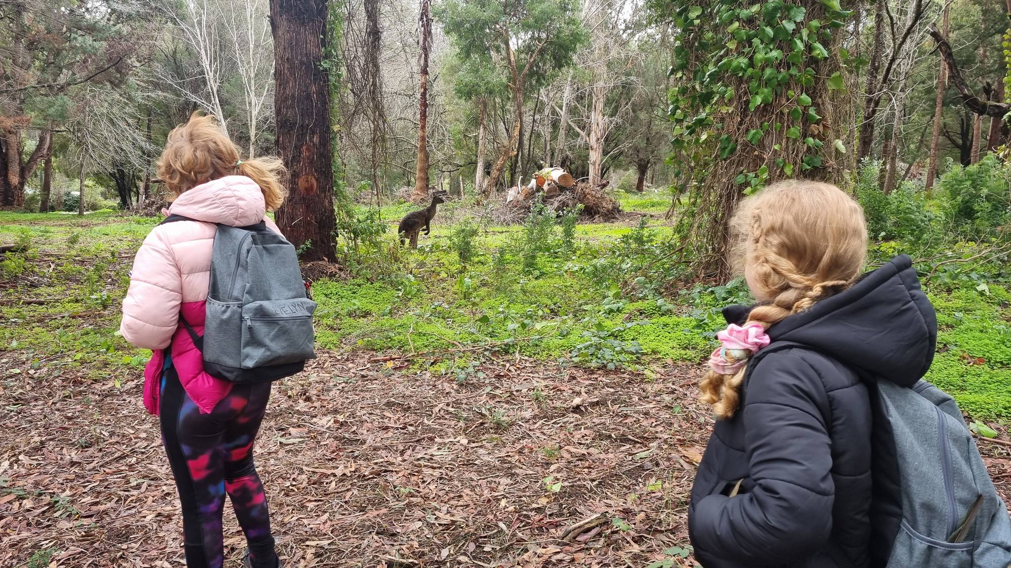 WILD Ones Forest School & Adventures in Pemberton, WA — photo 2