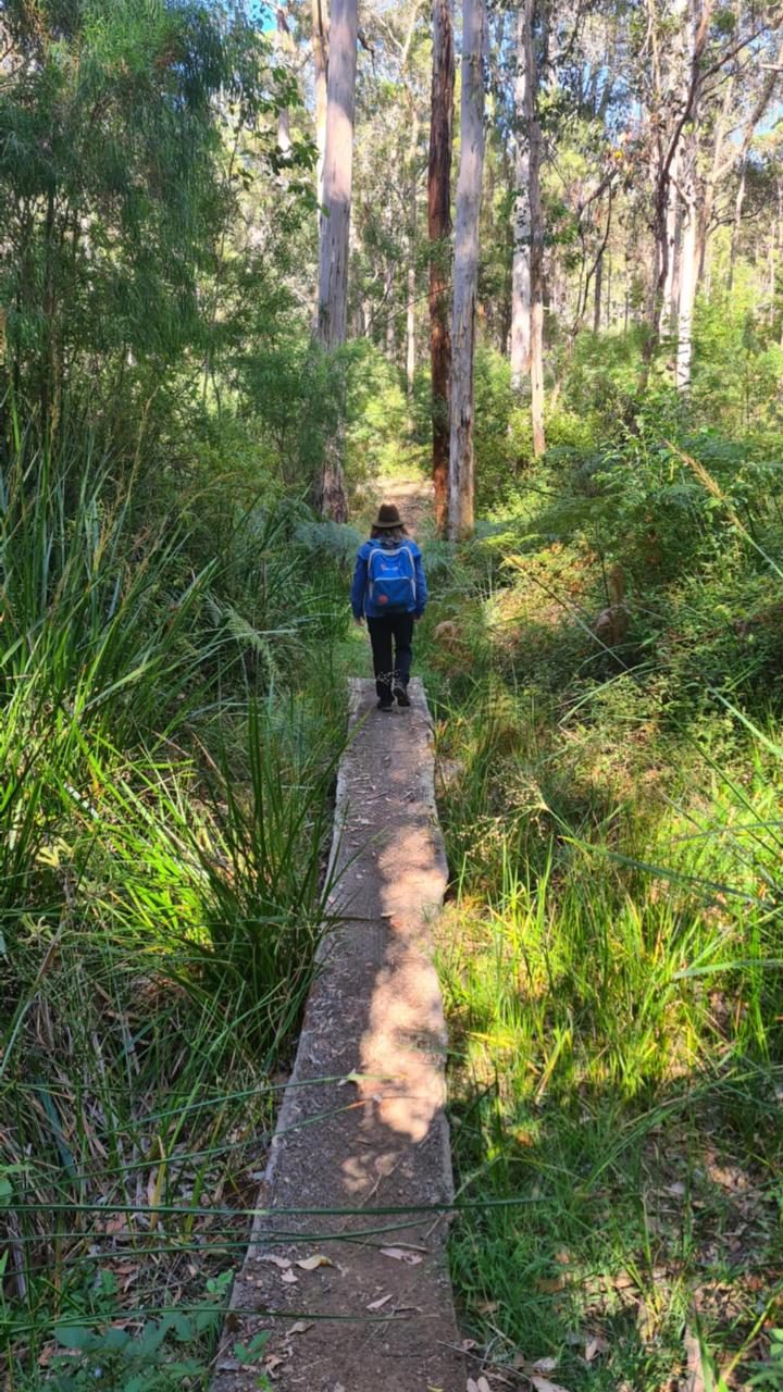 WILD Ones Forest School & Adventures in Pemberton, WA — photo 5