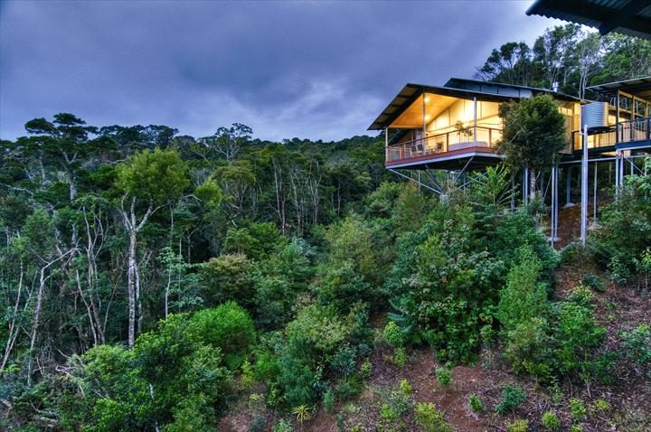 O'Reilly's Rainforest Retreat in Nerang, QLD — photo 4