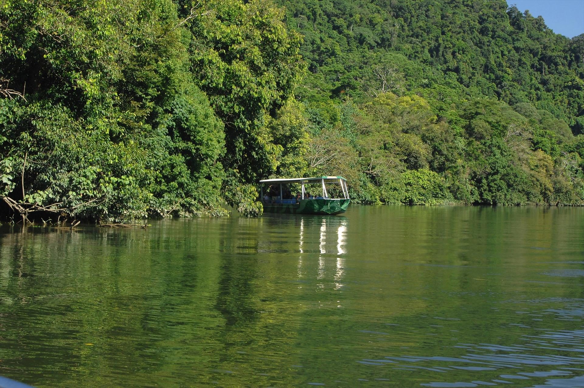 Crocodile Express Daintree River Cruises in Daintree, QLD — photo 2