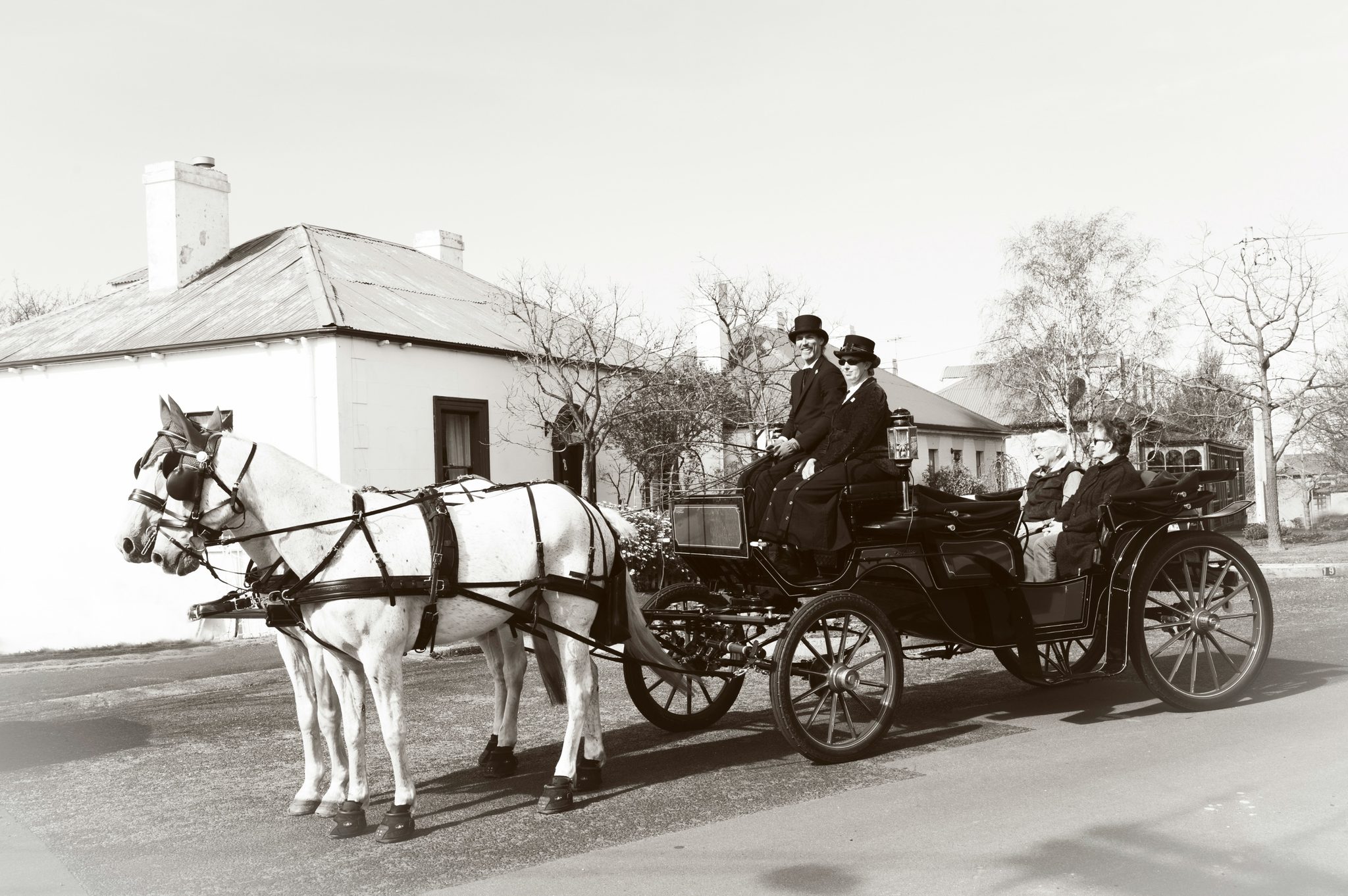 Heritage Horse Drawn Carriages in Hobart, TAS — photo 1