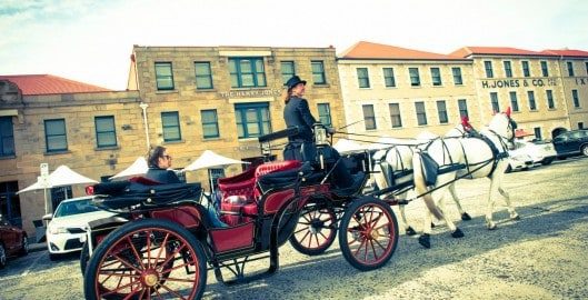 Heritage Horse Drawn Carriages in Hobart, TAS — photo 2