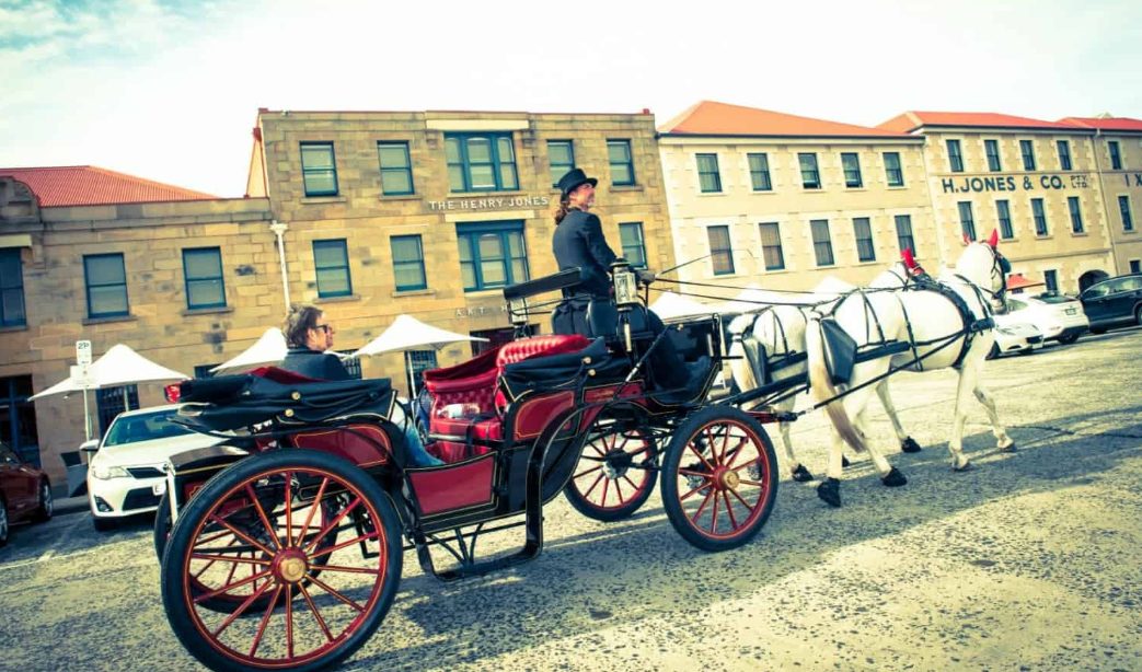 Heritage Horse Drawn Carriages in Hobart, TAS — photo 3