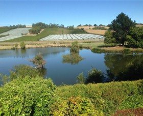 Discover Tasmania Tours in Westbury, TAS — photo 5