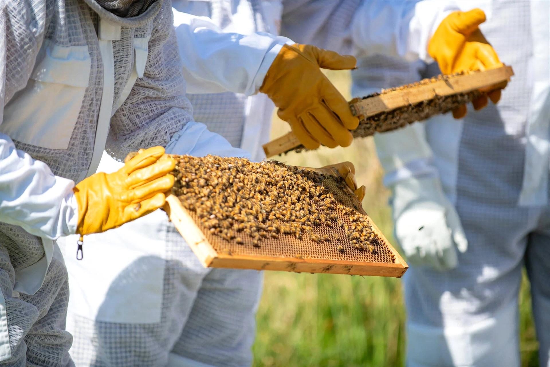 Bowral Honey Farm in Bowral, NSW — photo 1